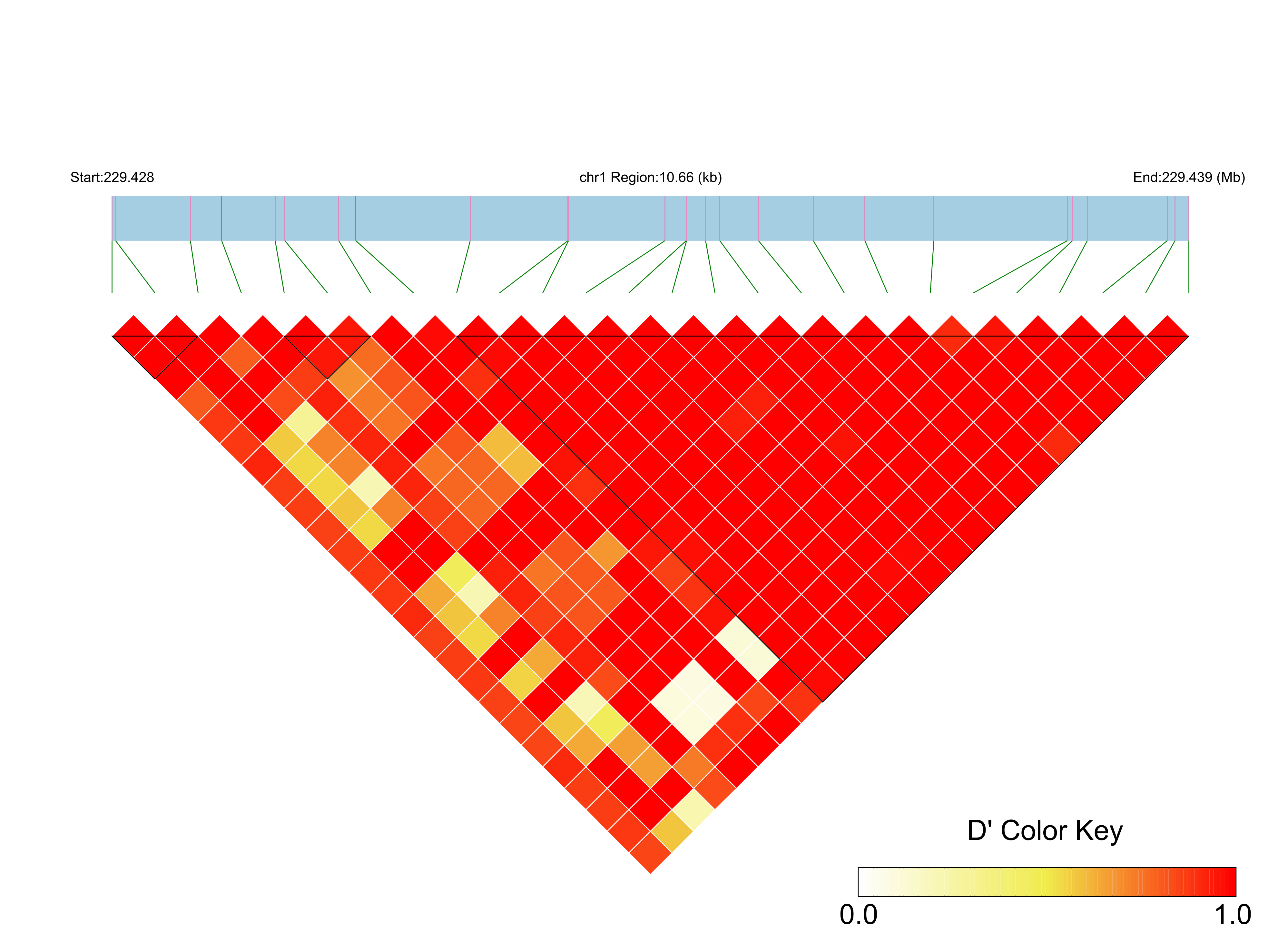LD