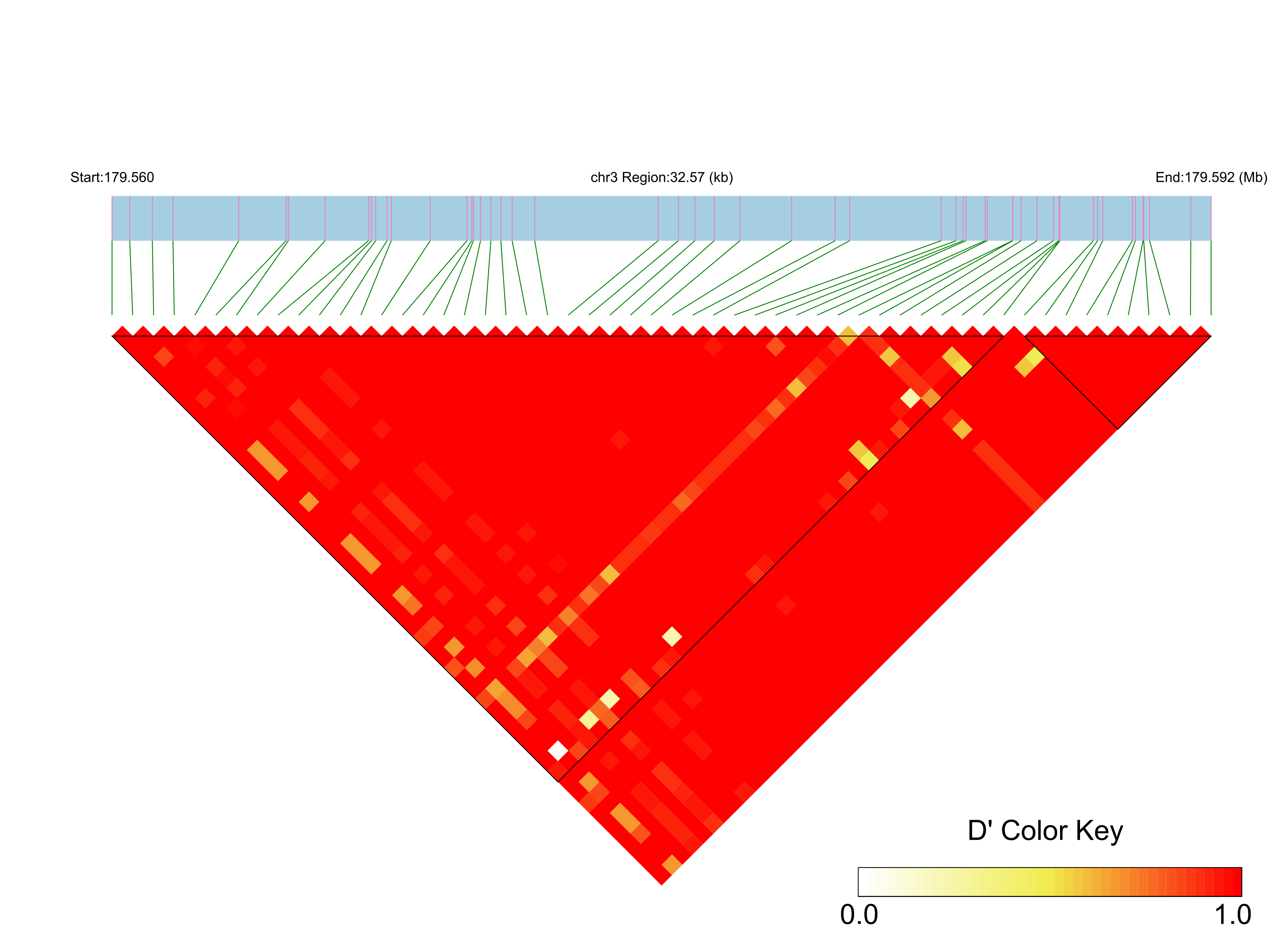LD