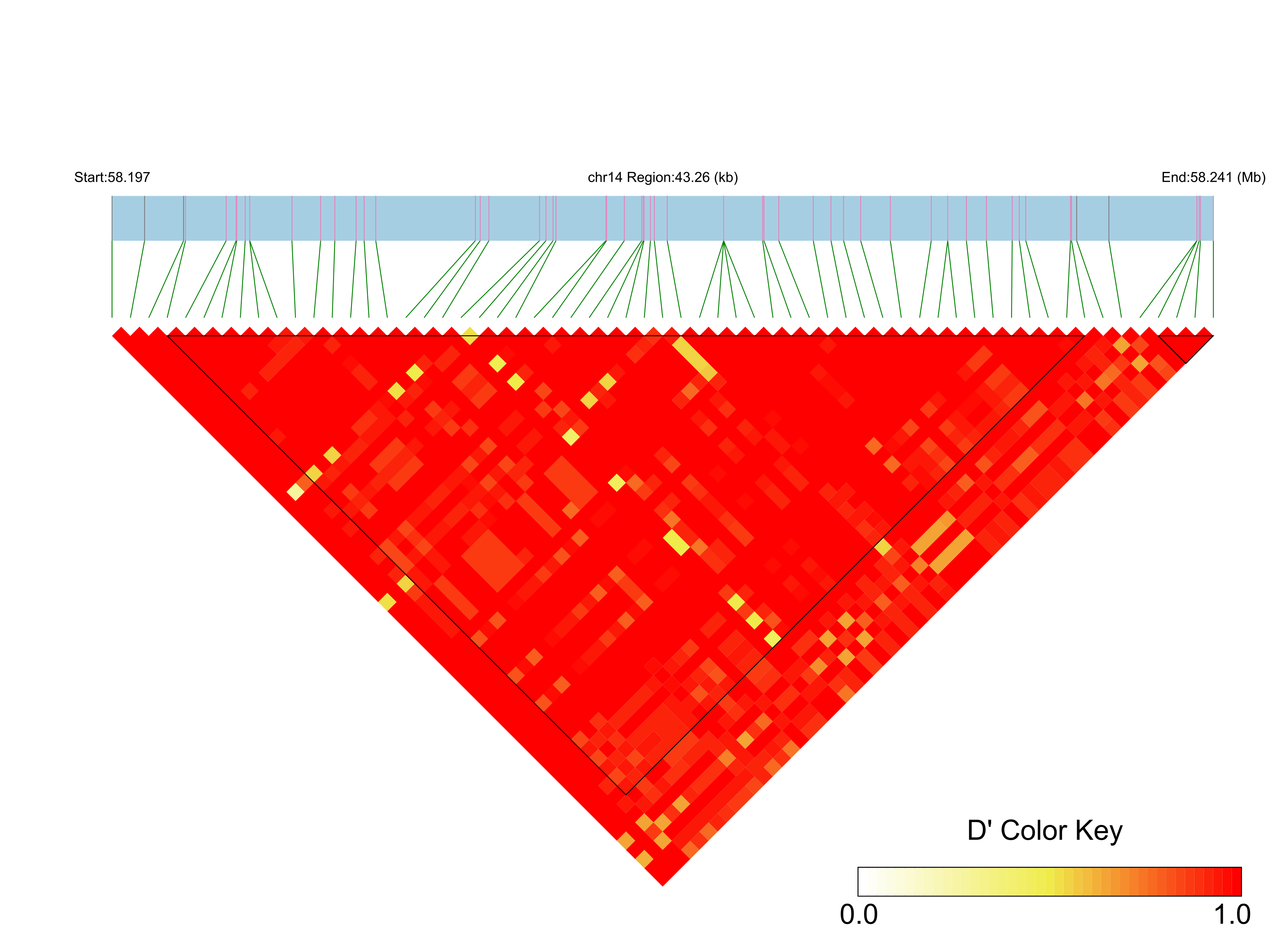 LD