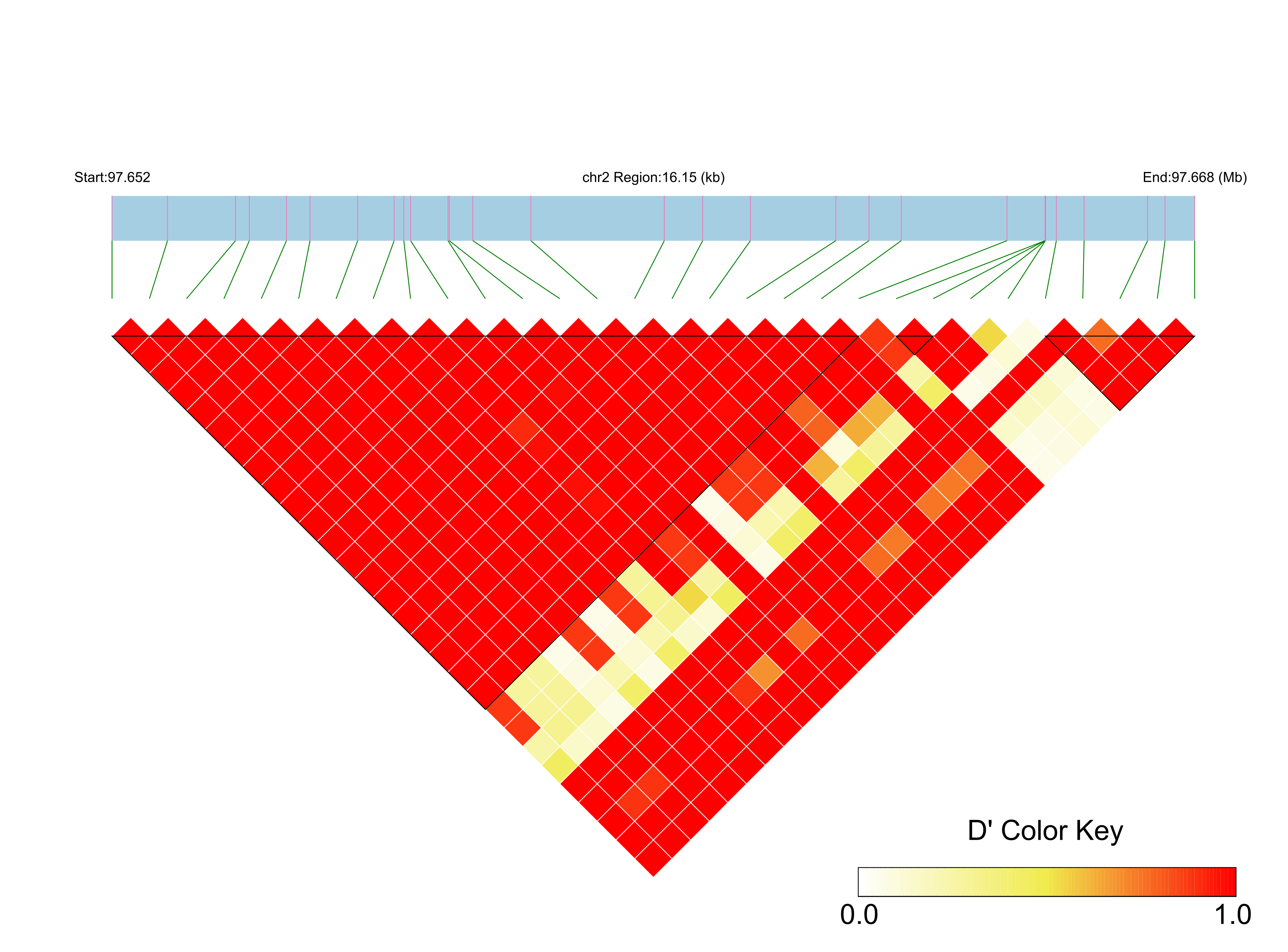 LD