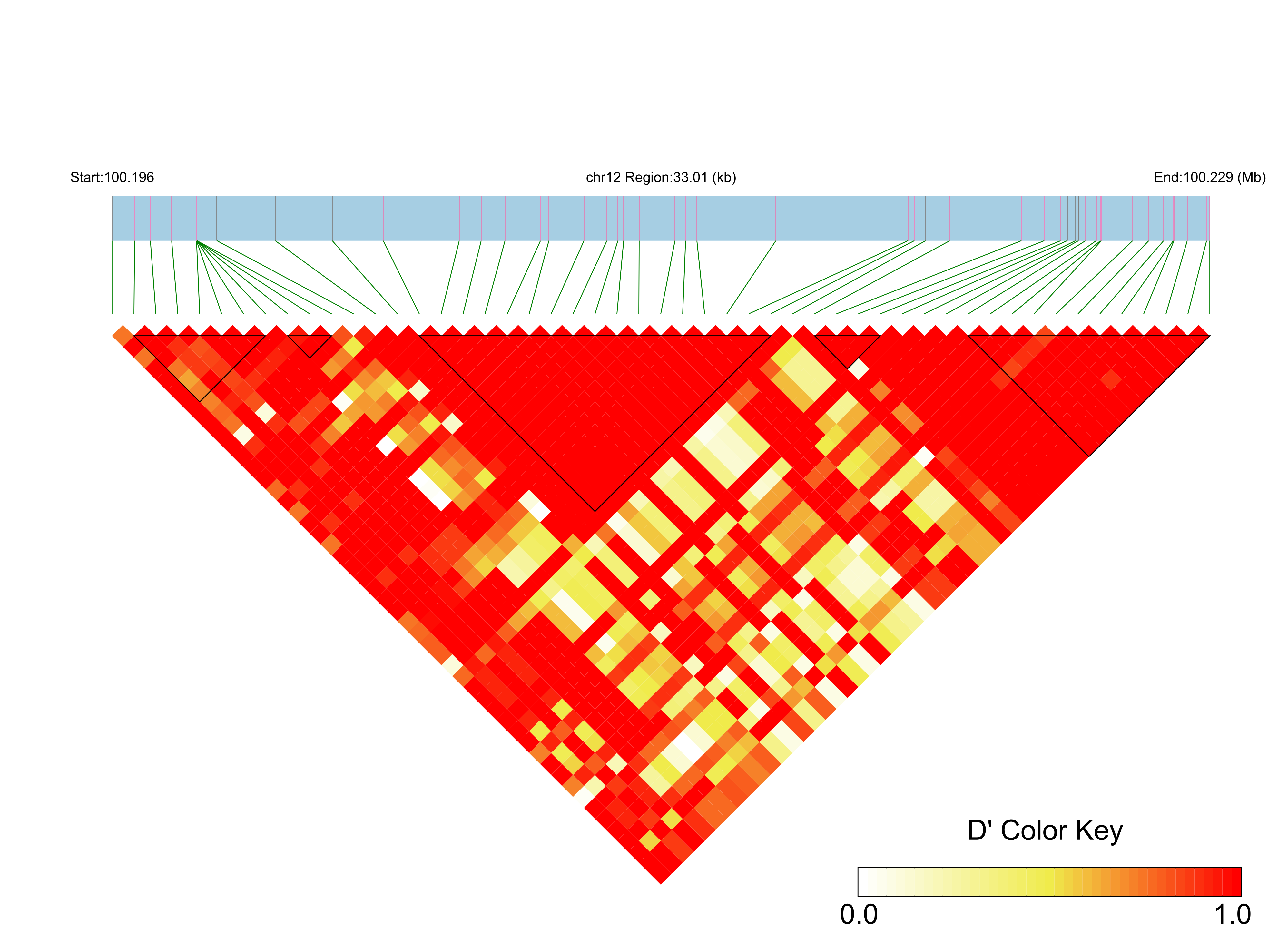LD
