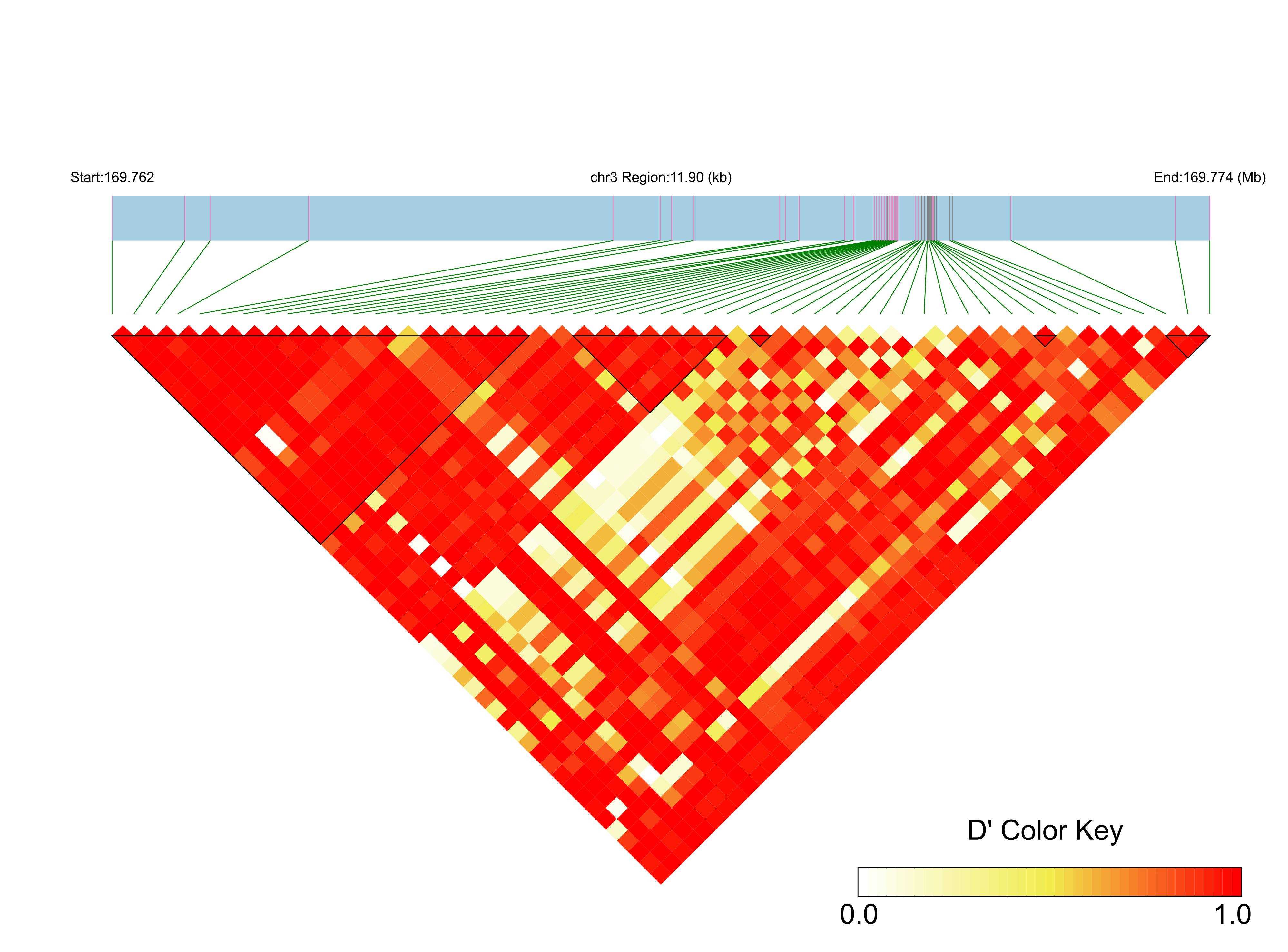 LD