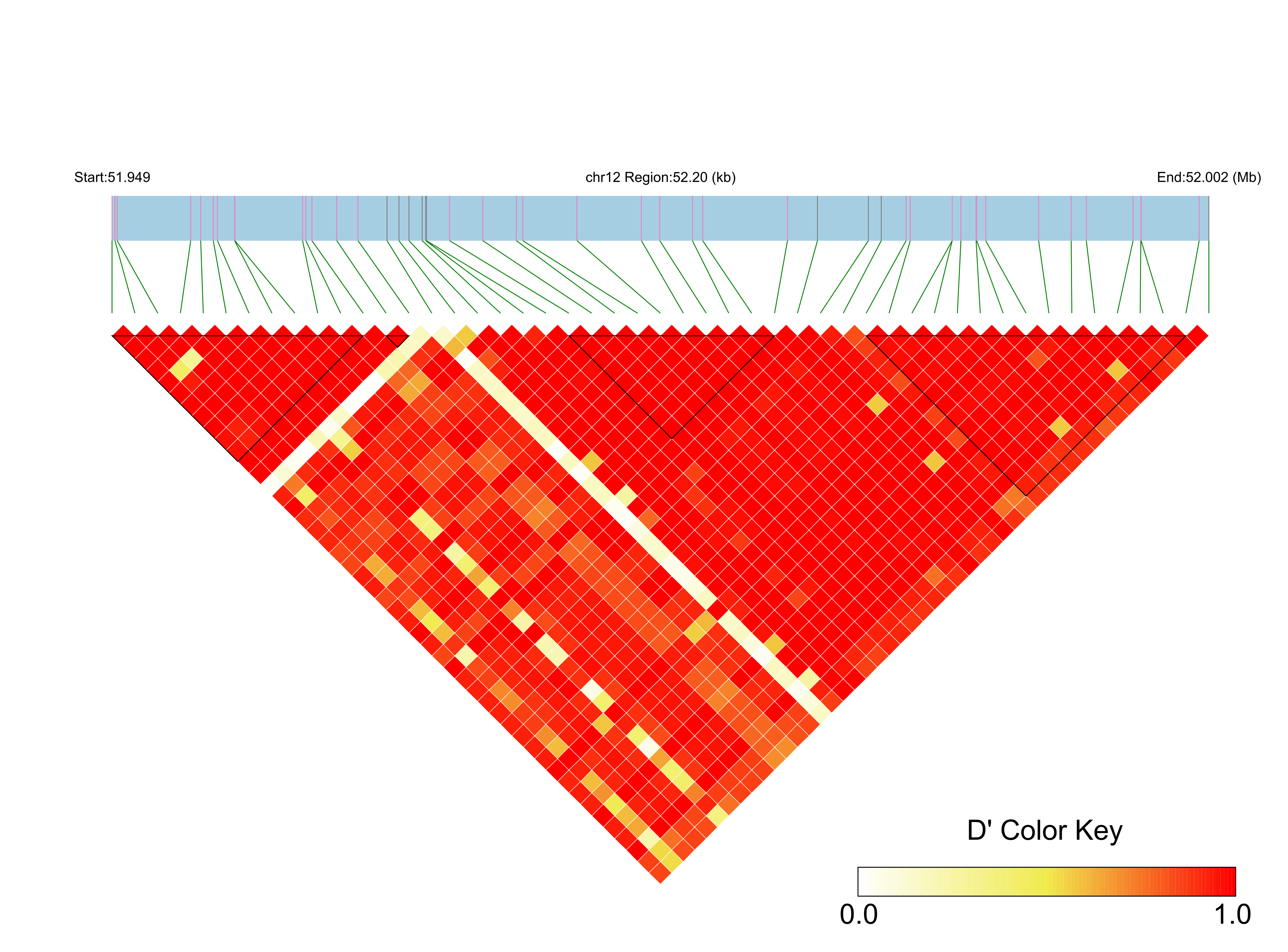 LD