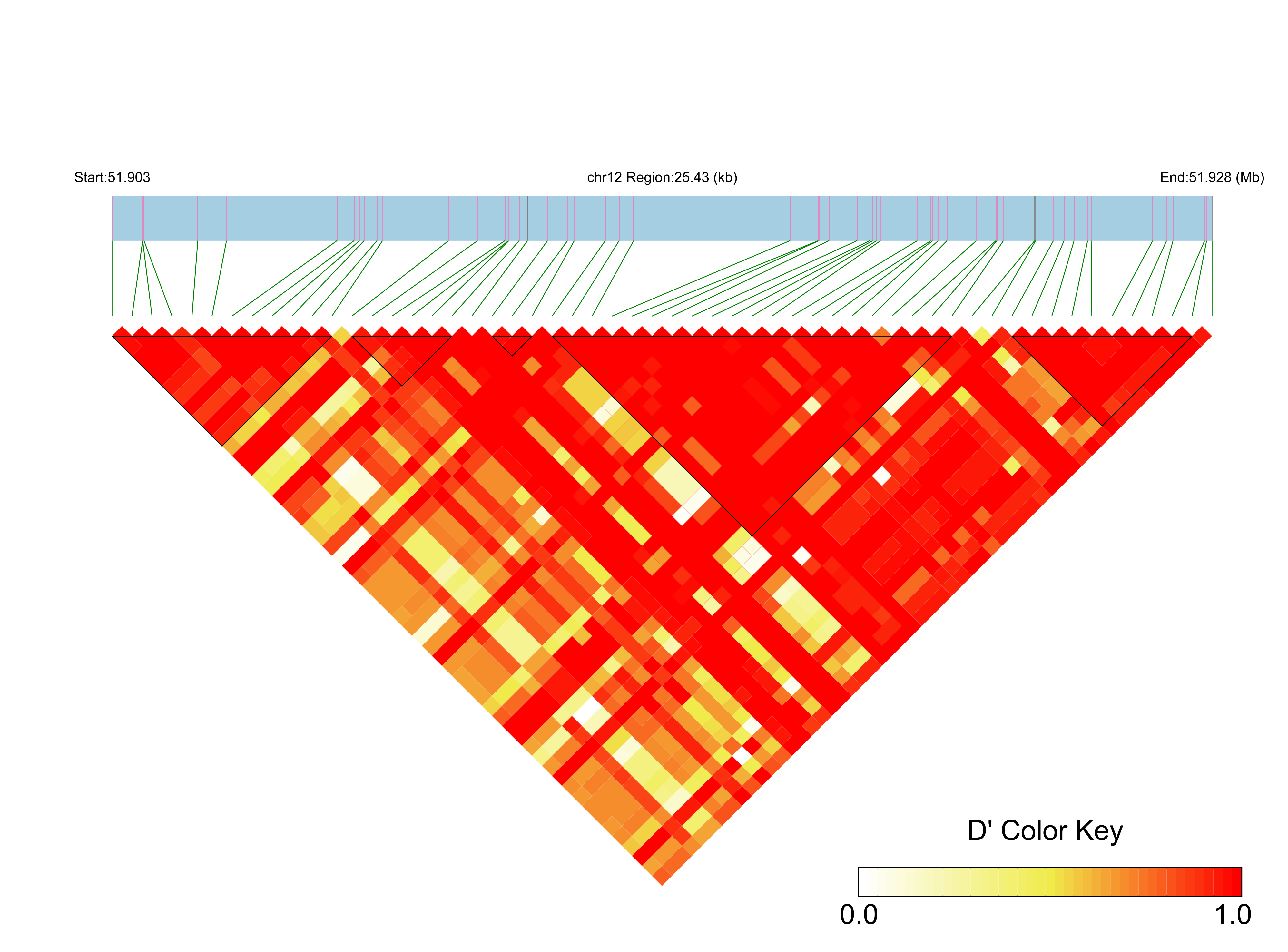LD