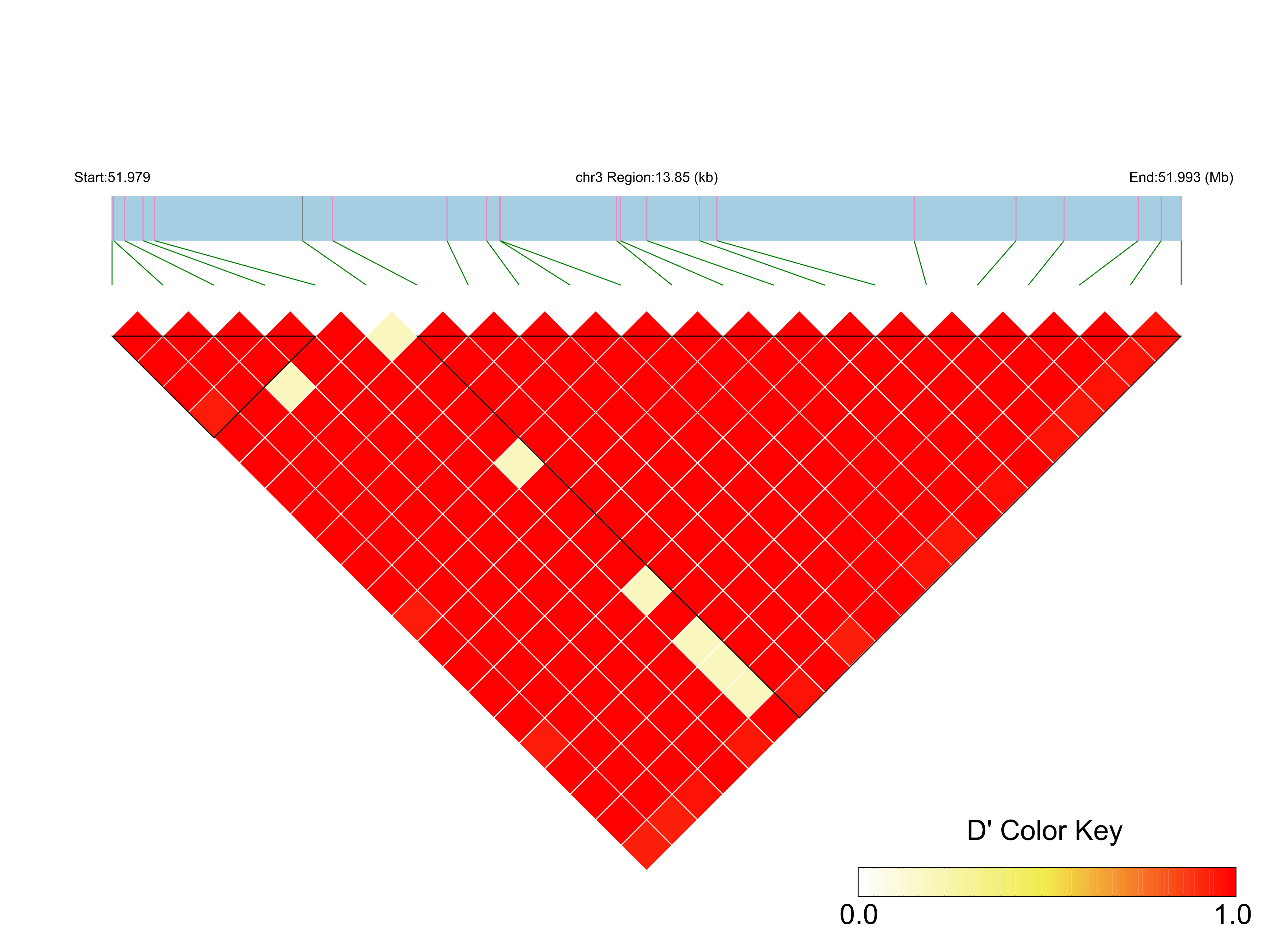 LD