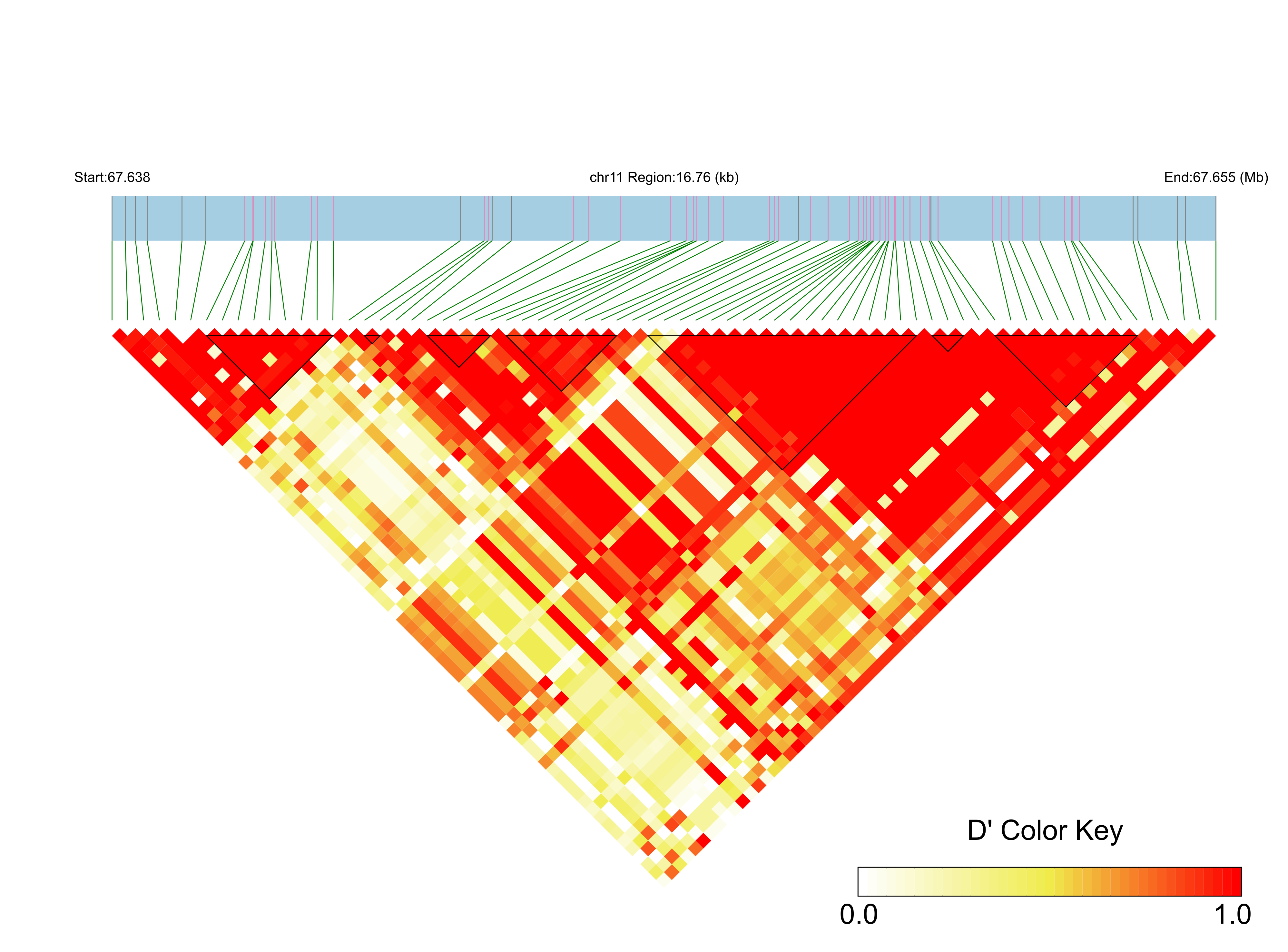 LD