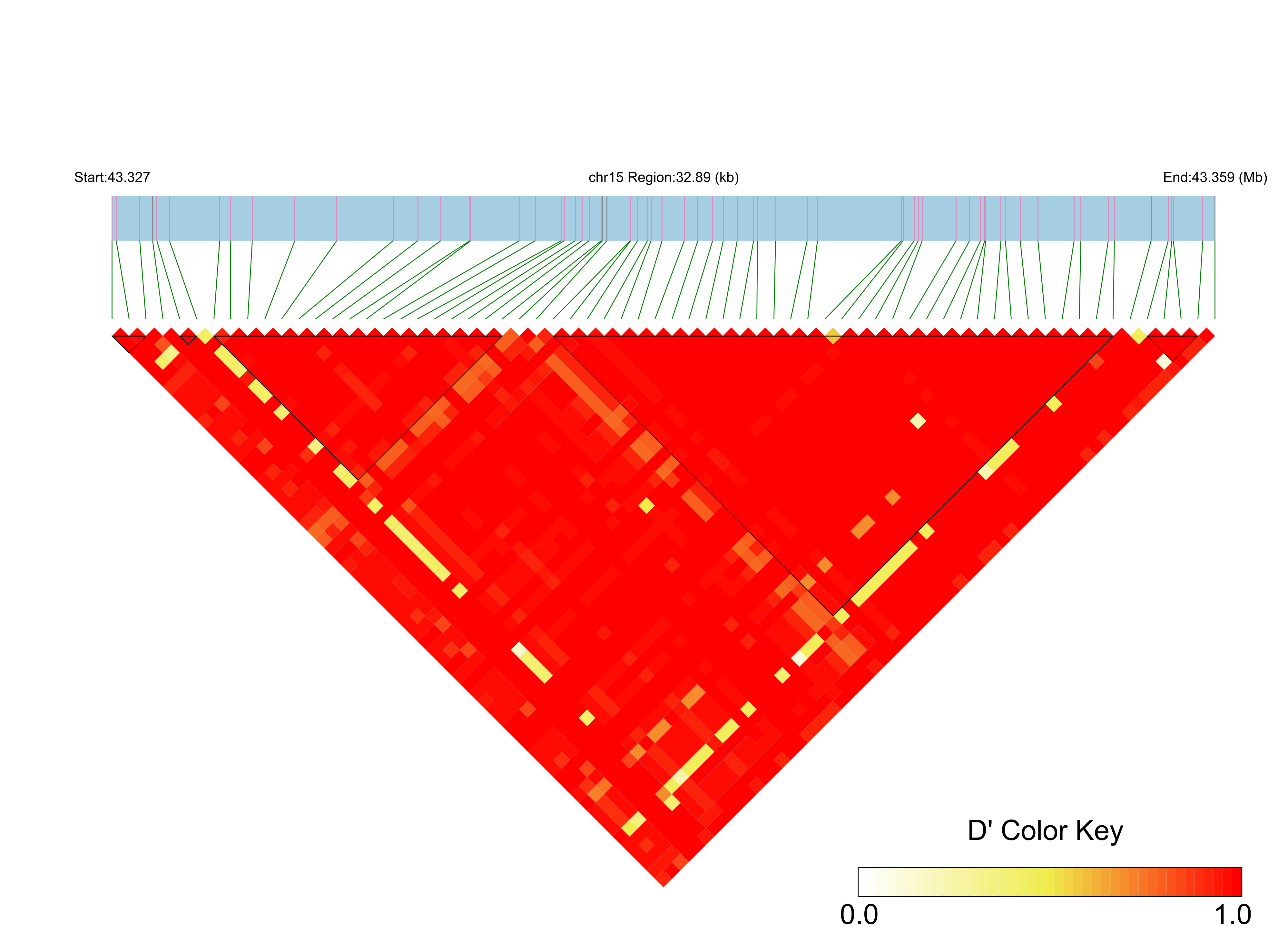 LD