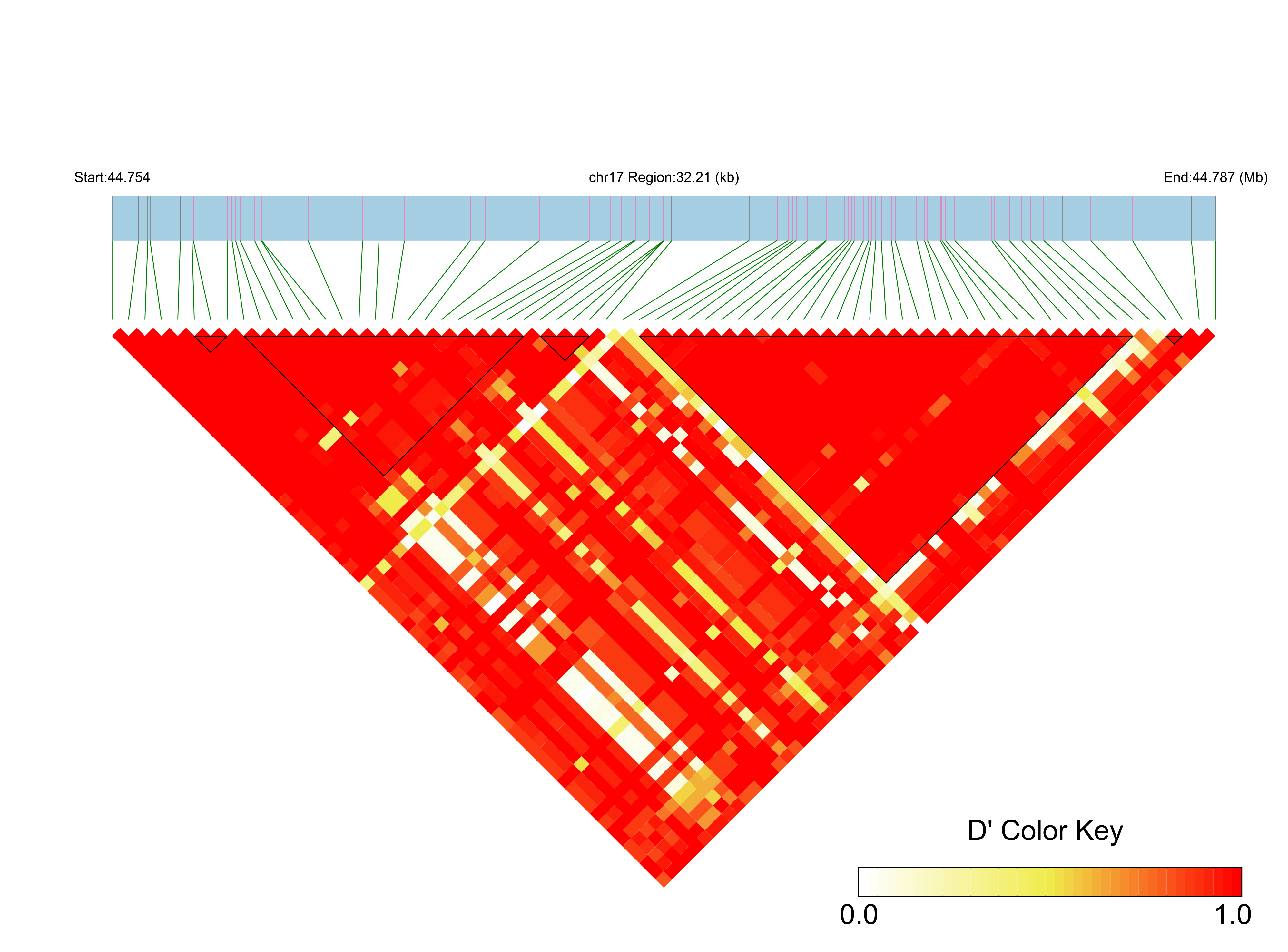LD