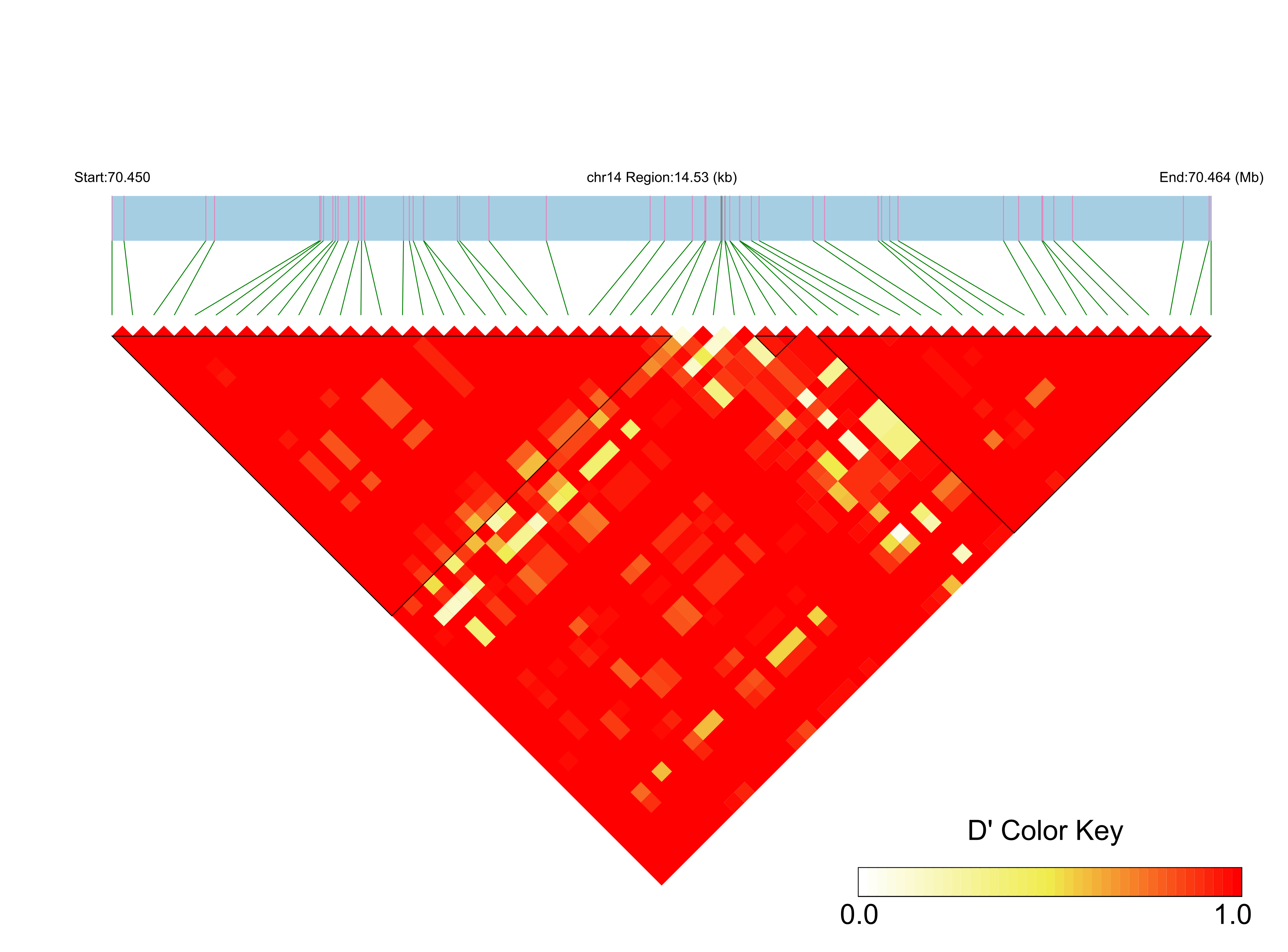 LD