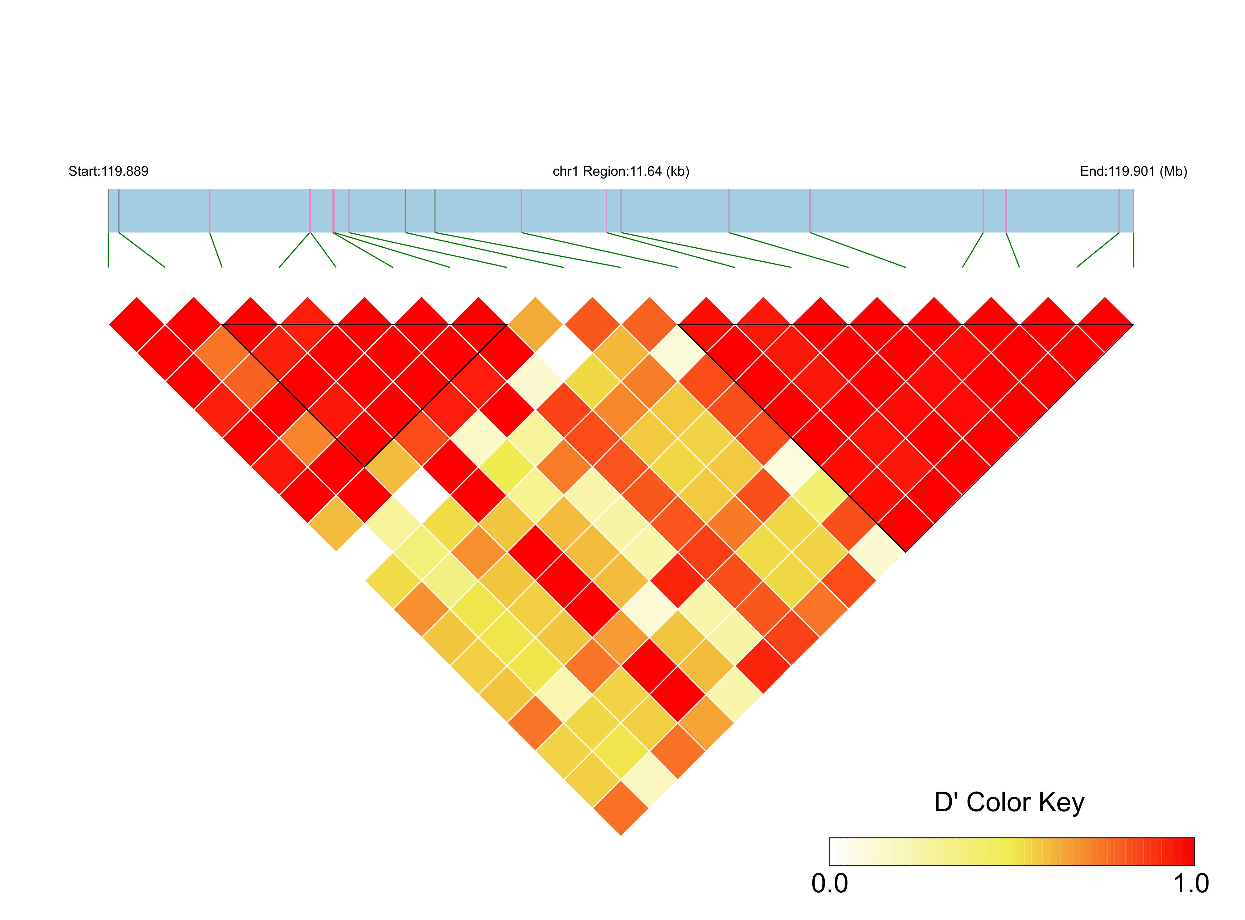 LD