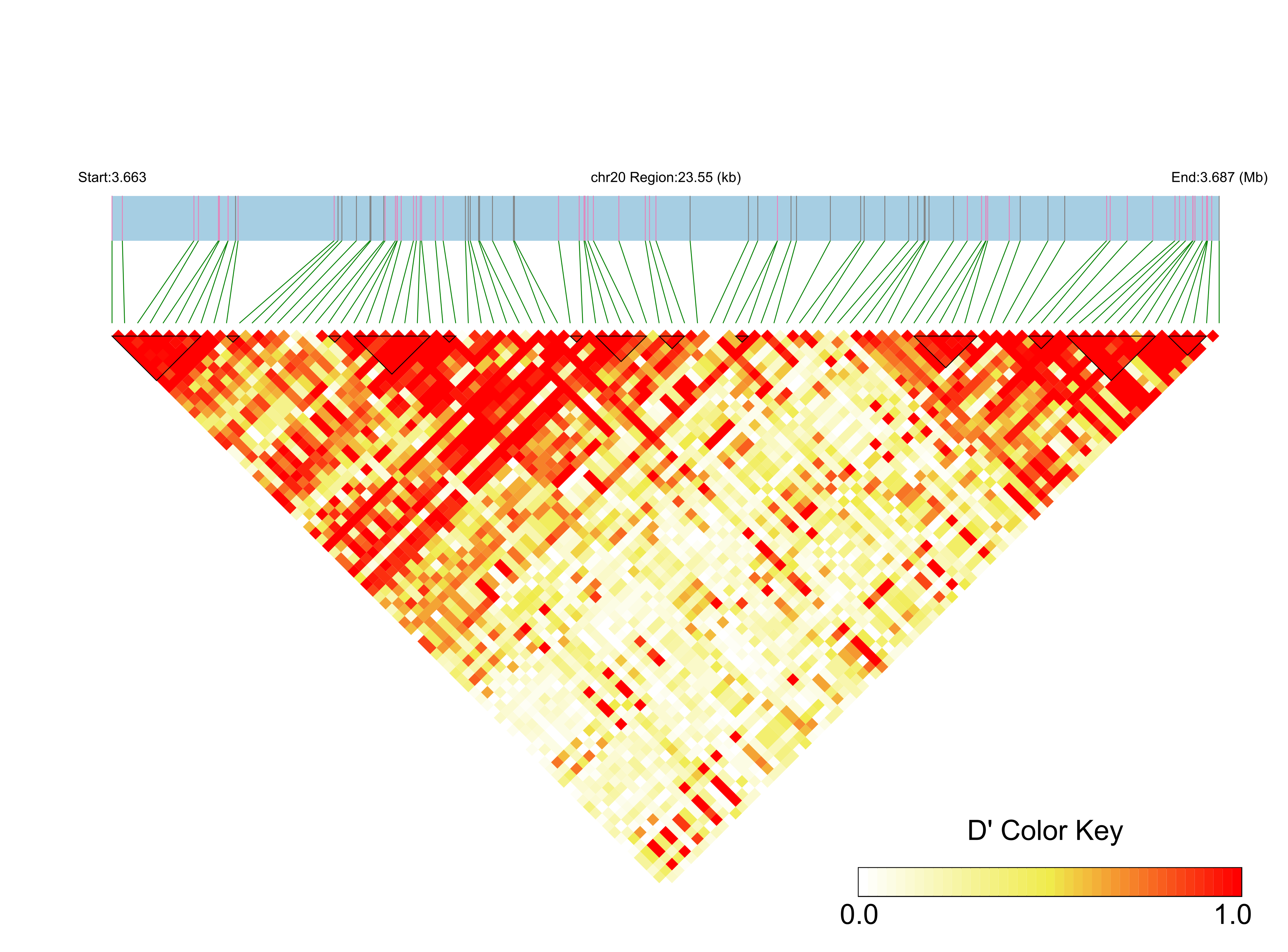 LD