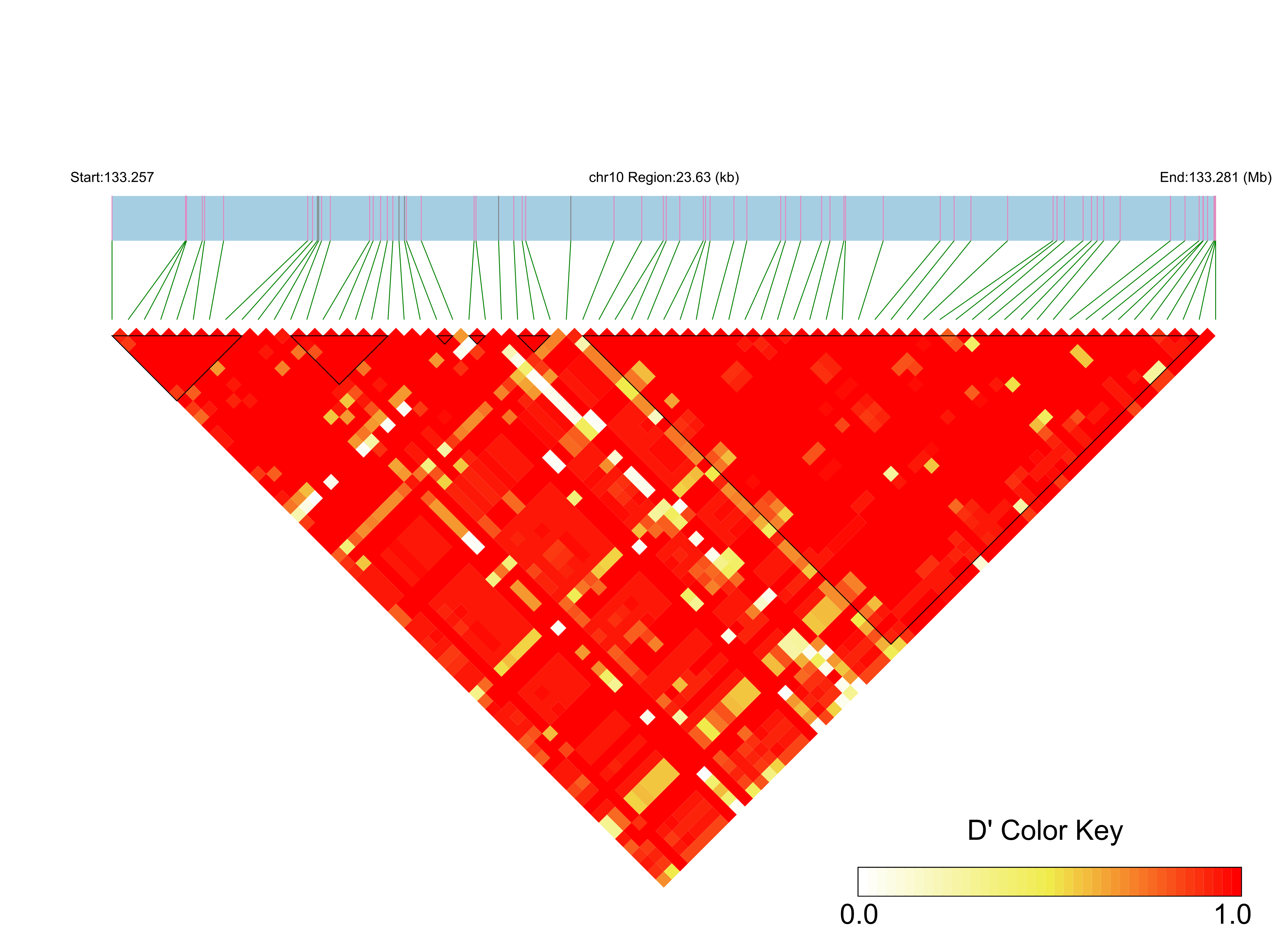 LD