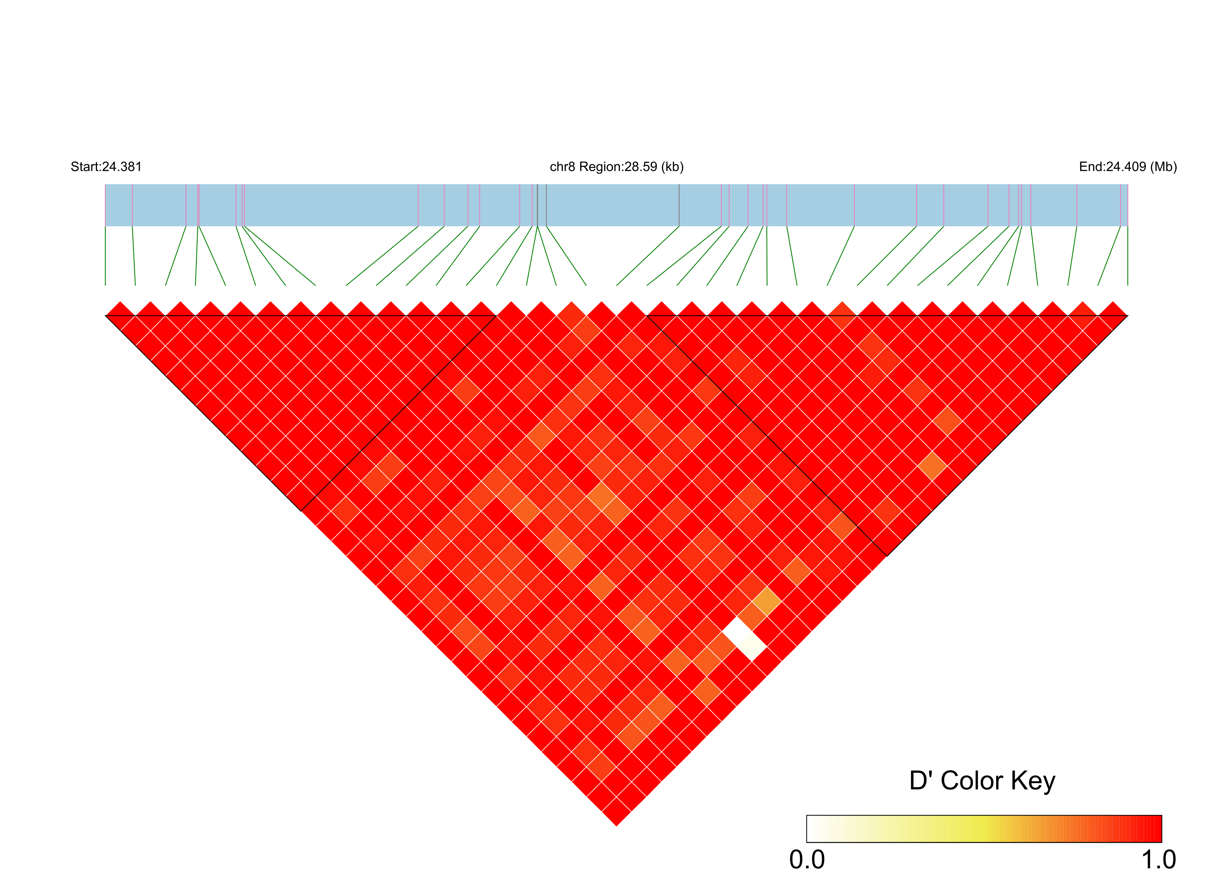LD