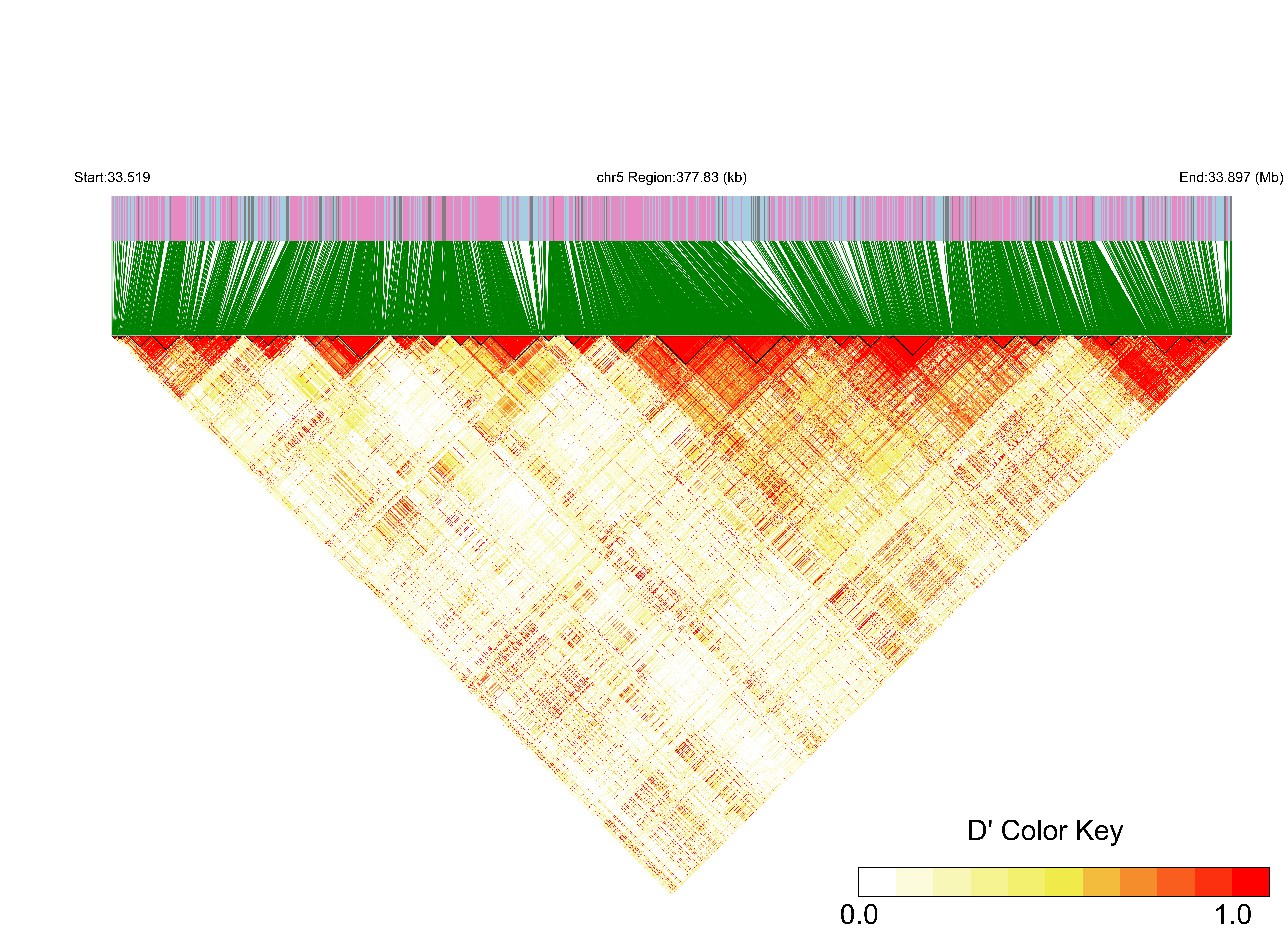 LD