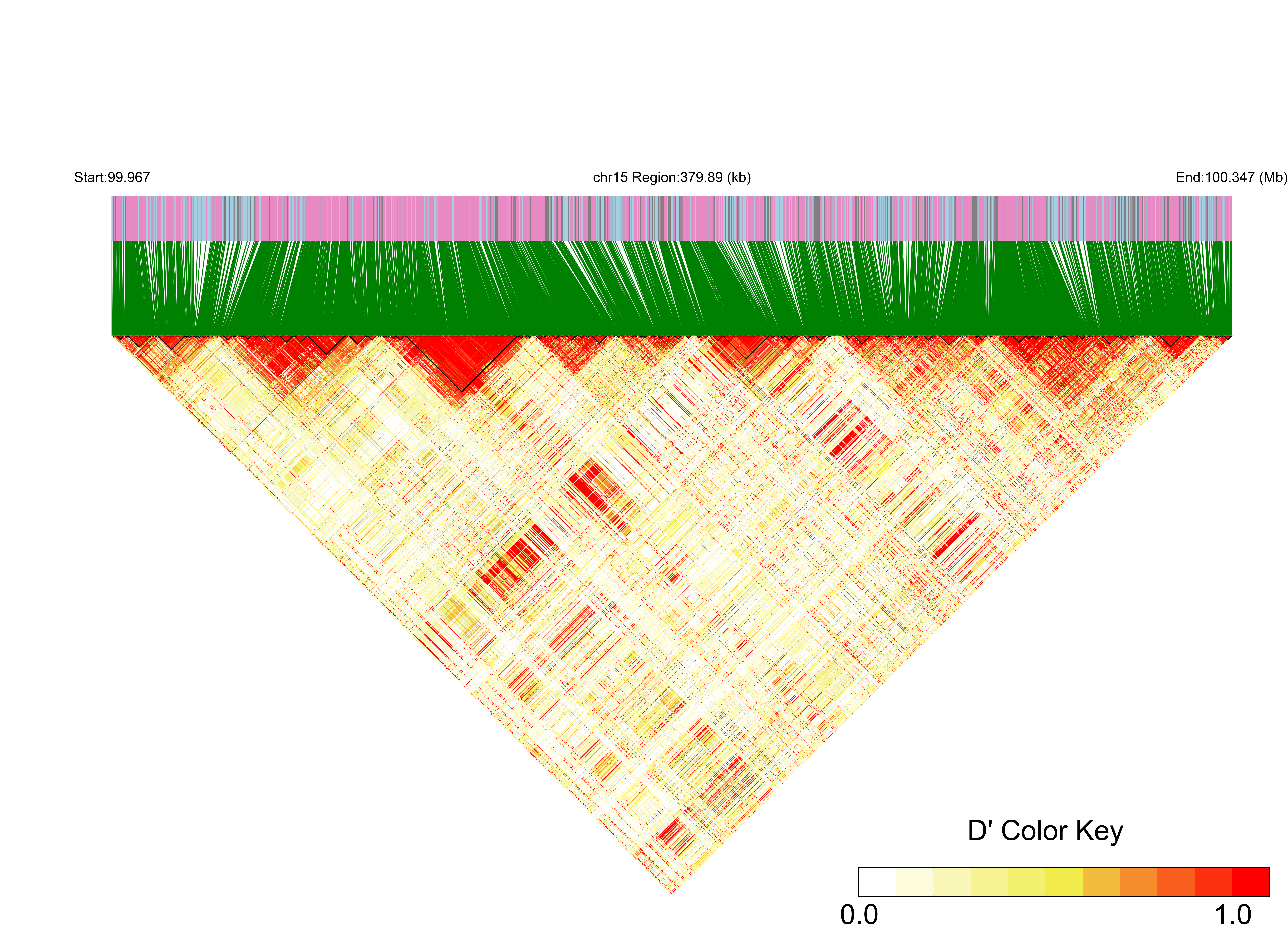 LD