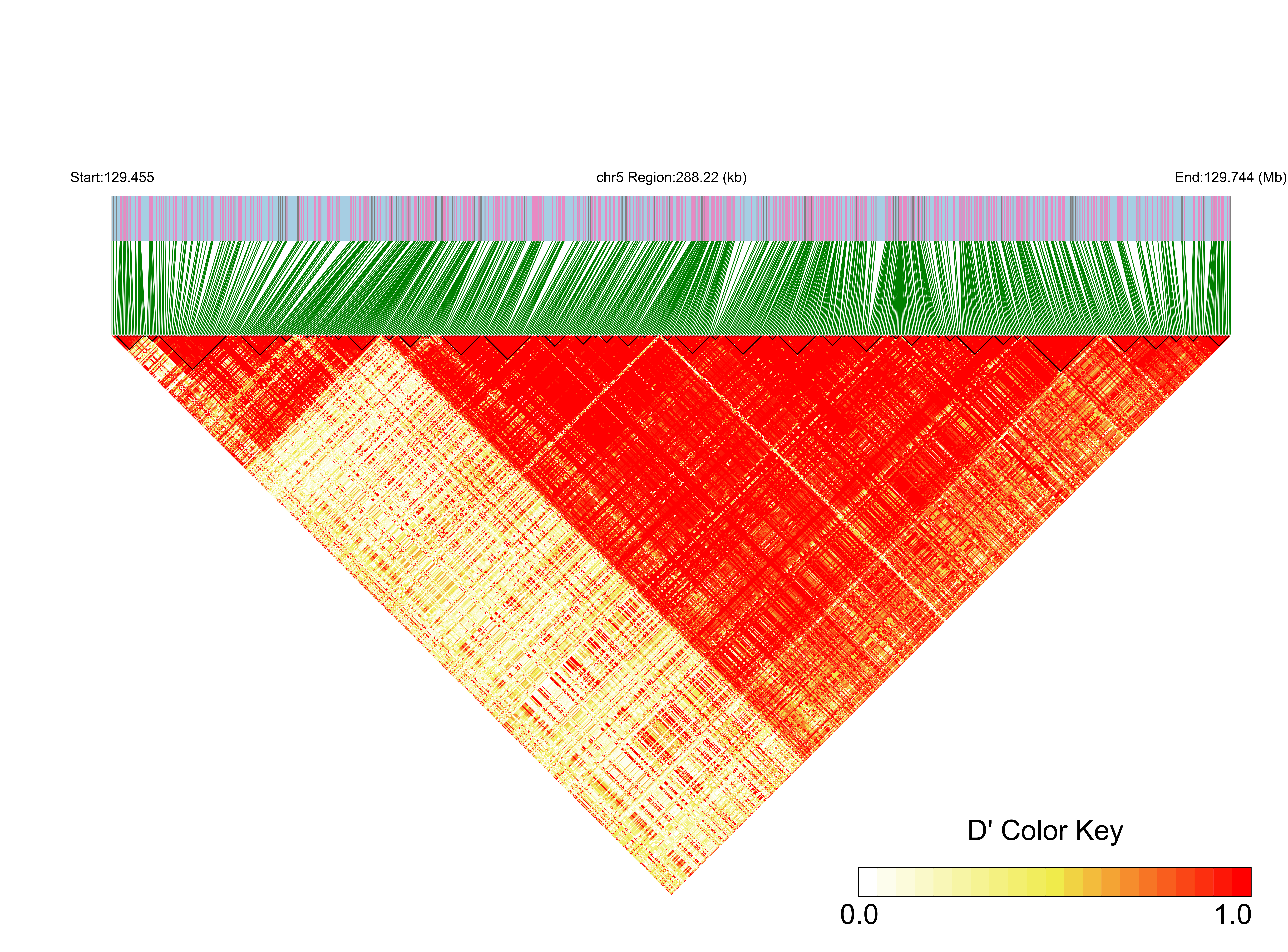 LD