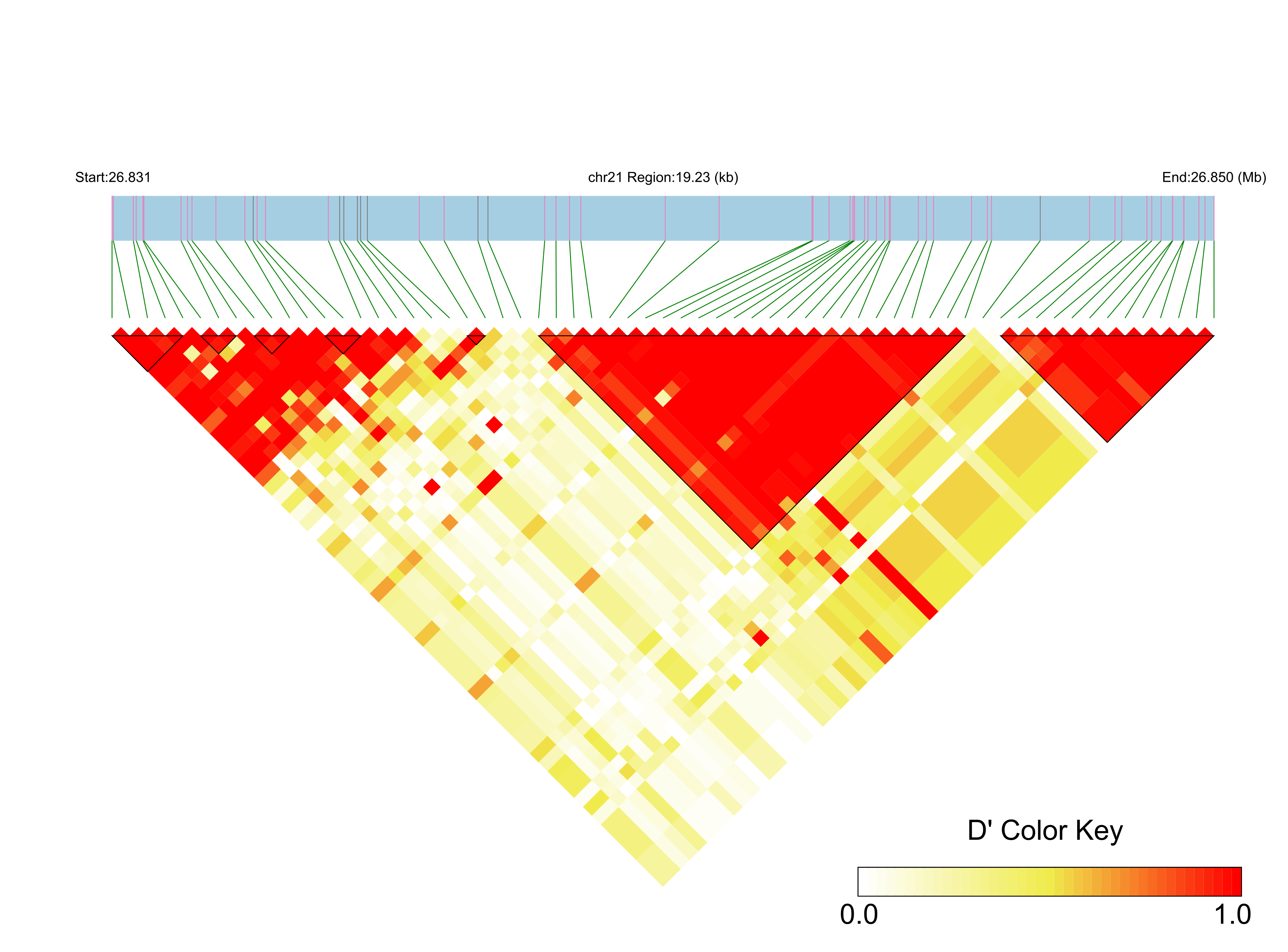 LD