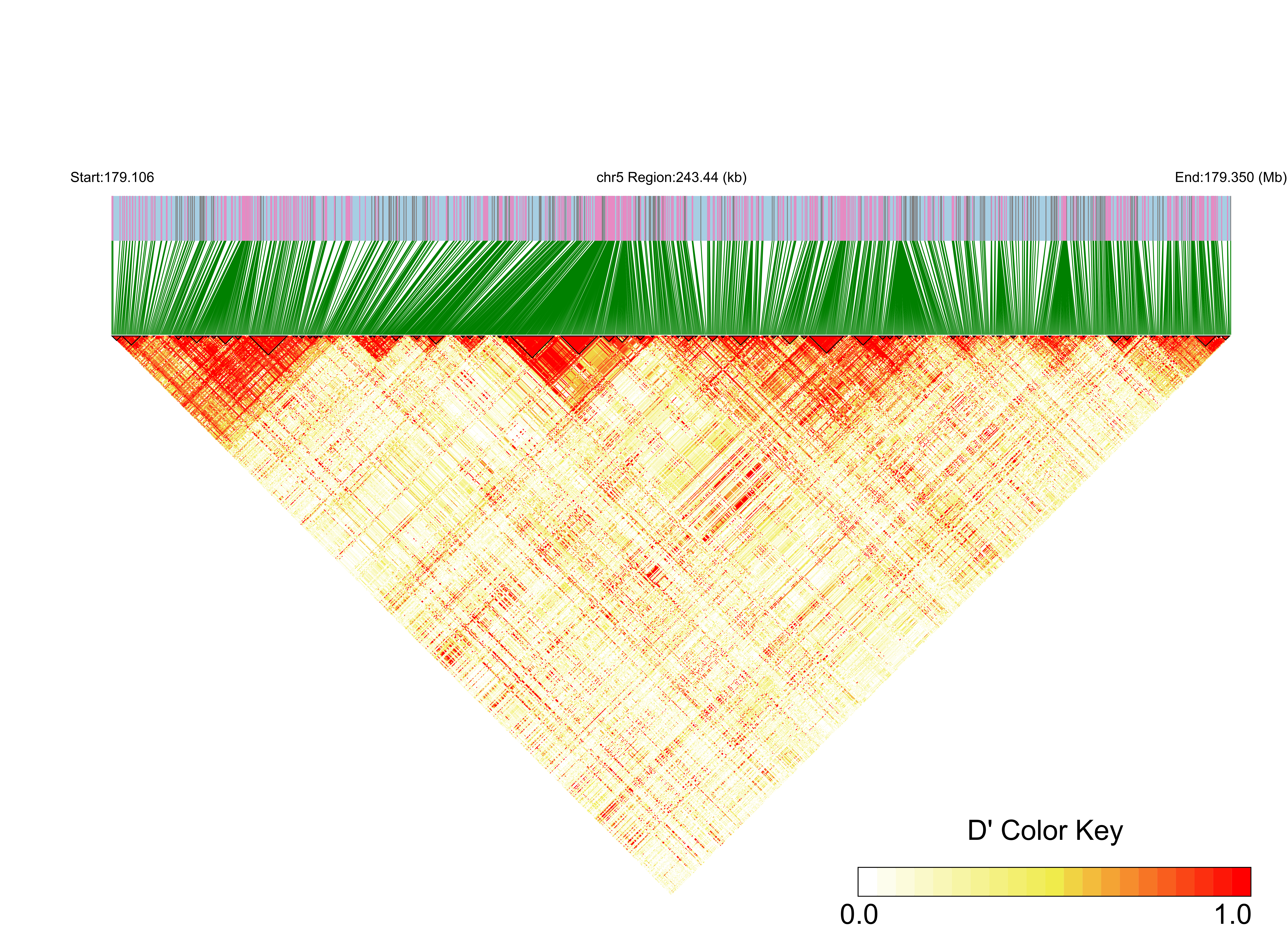 LD