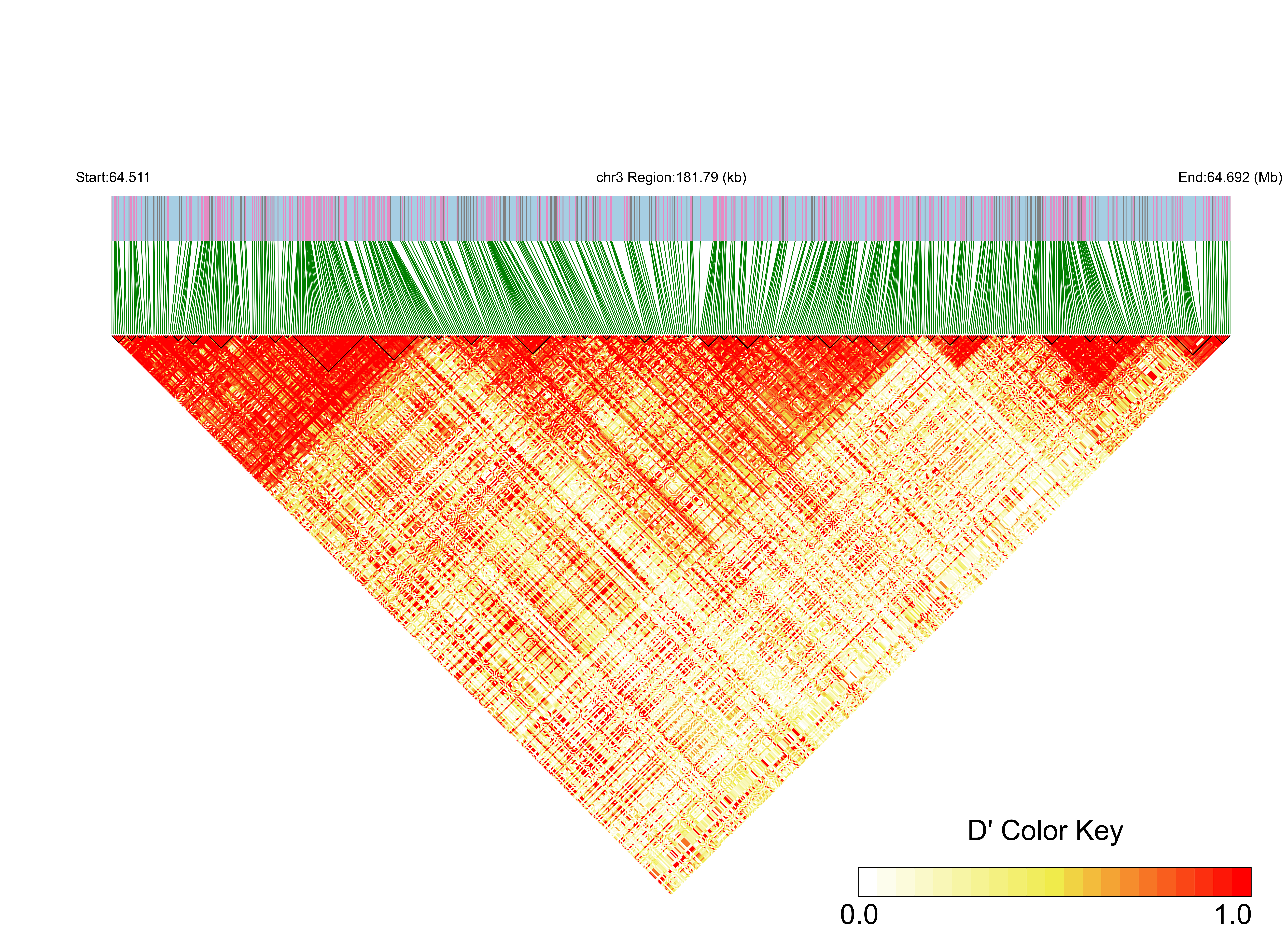 LD