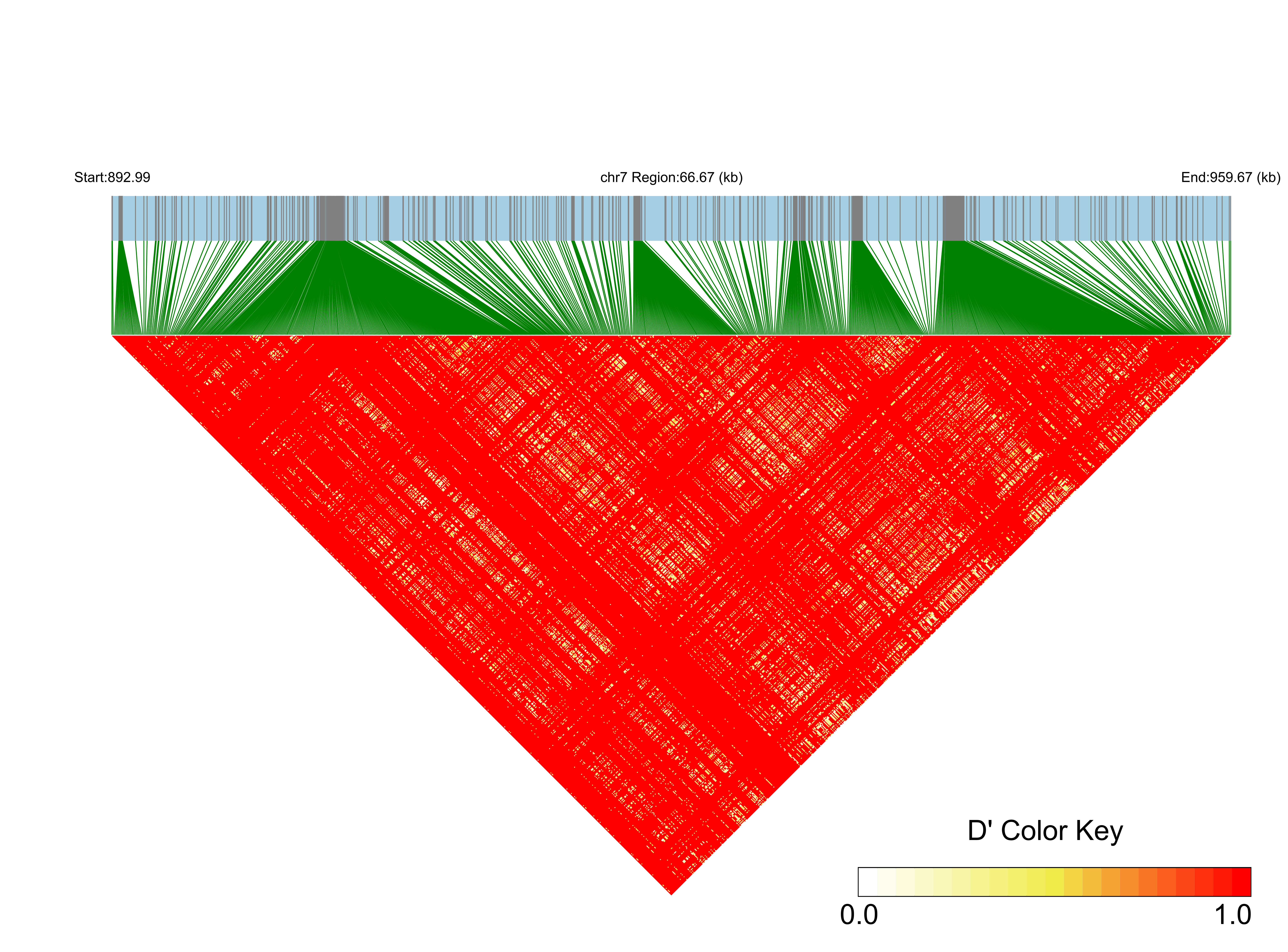 LD