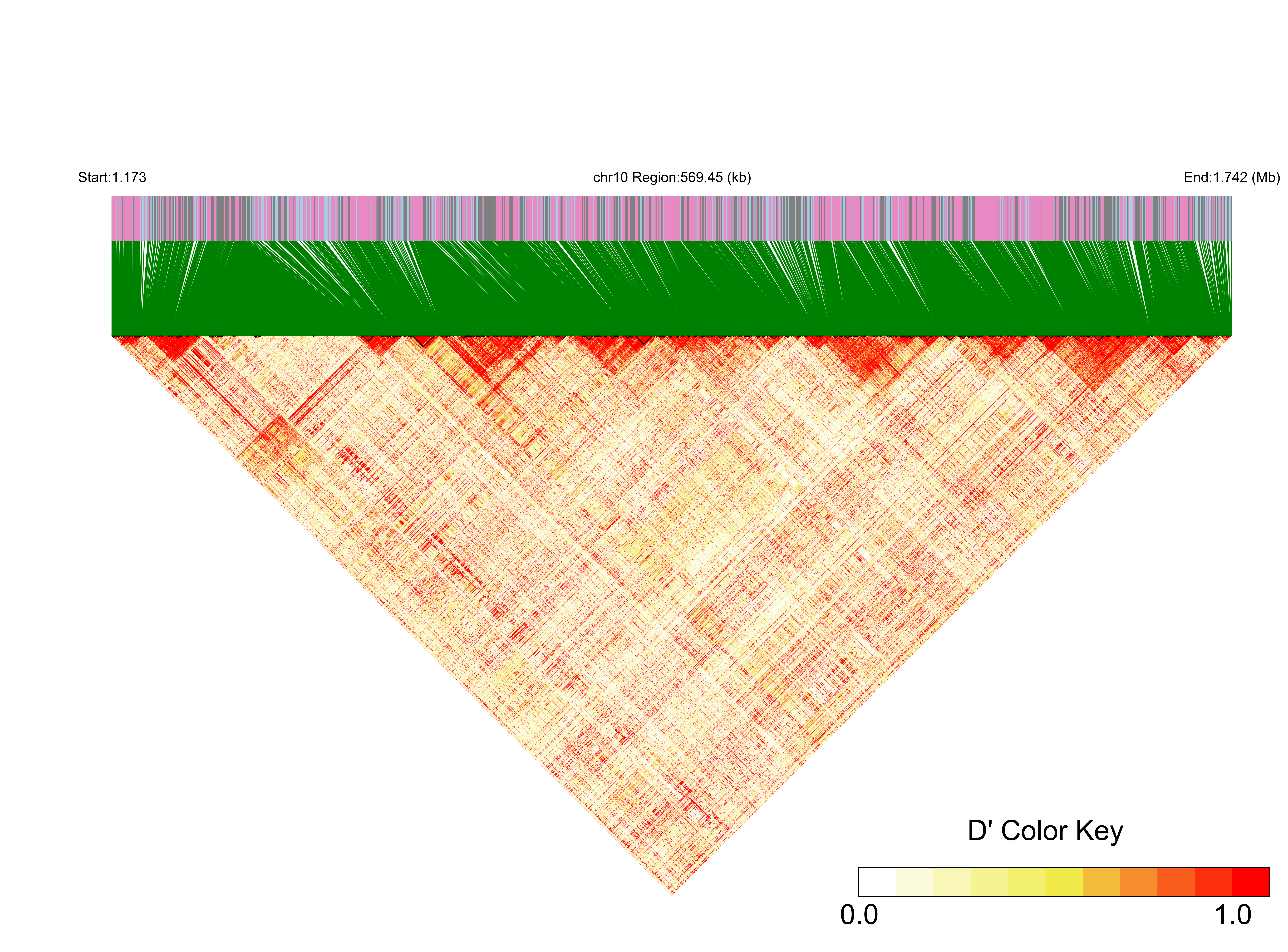LD