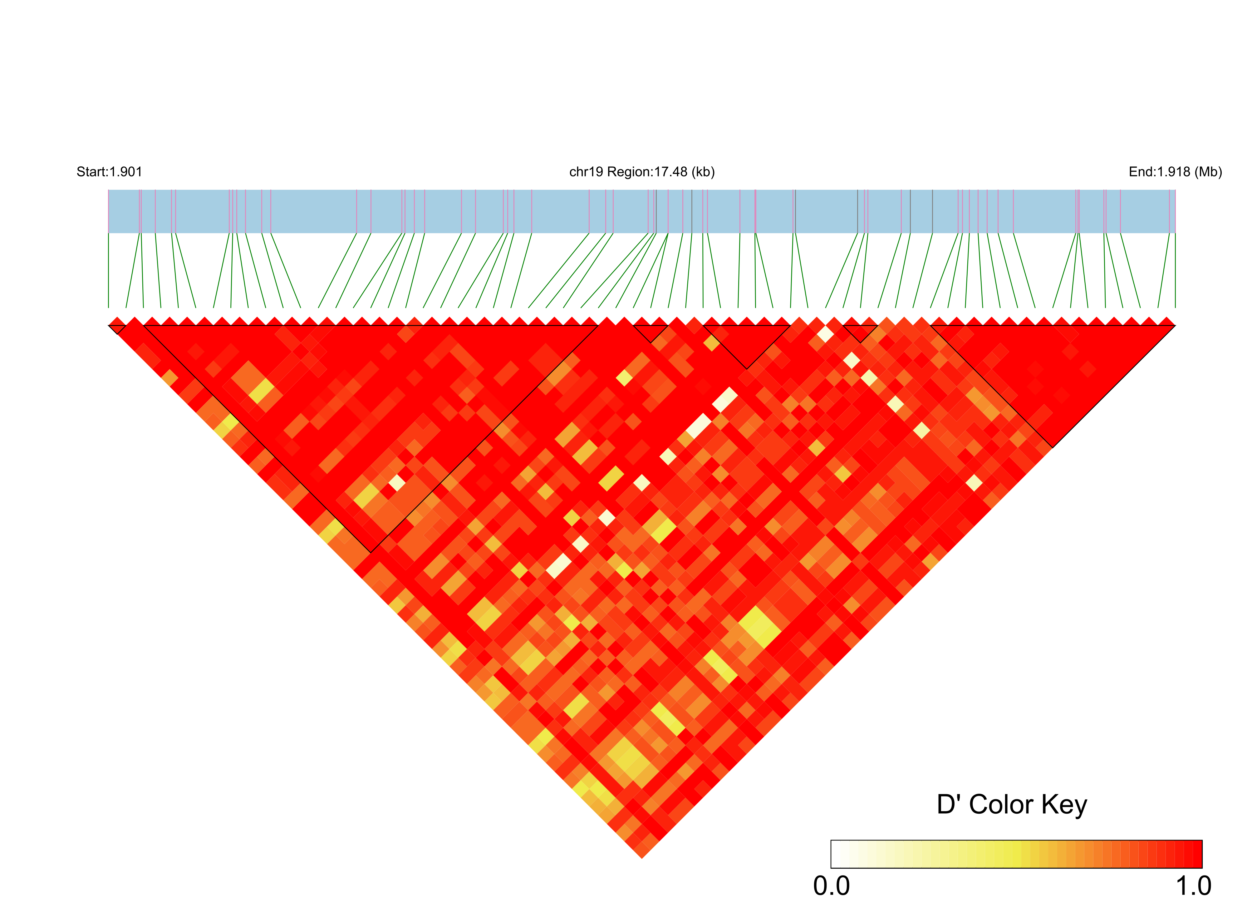 LD
