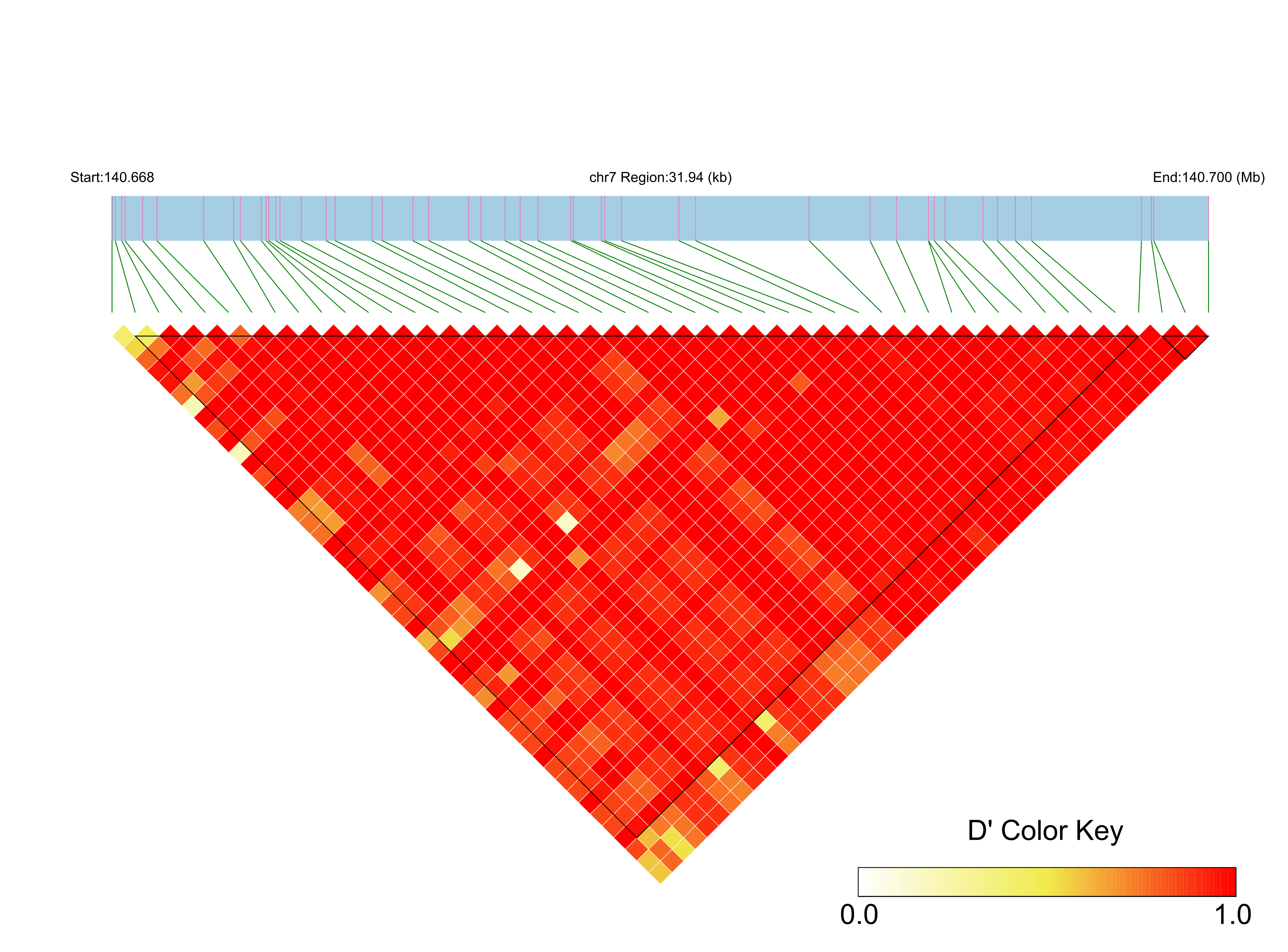 LD