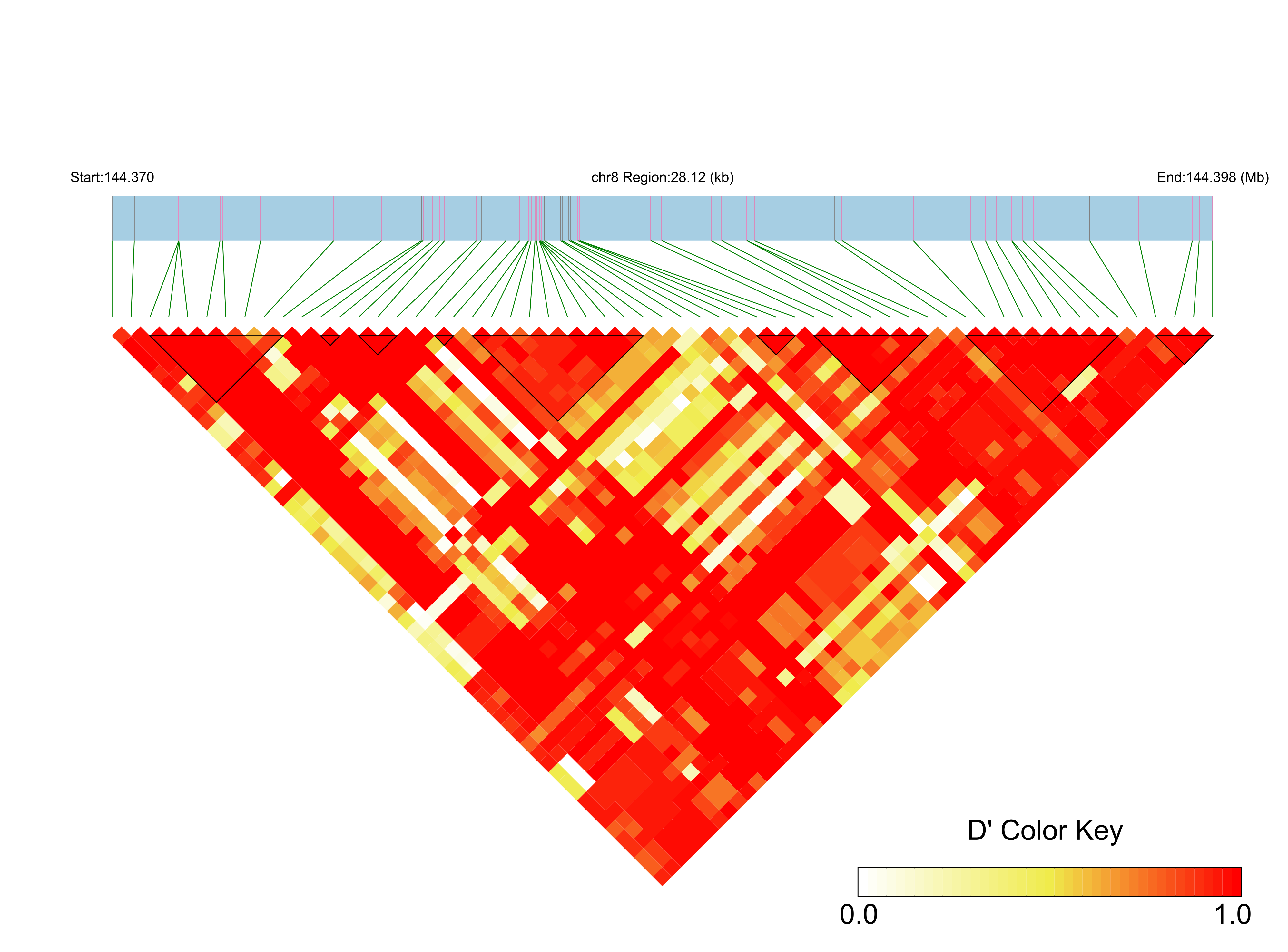 LD