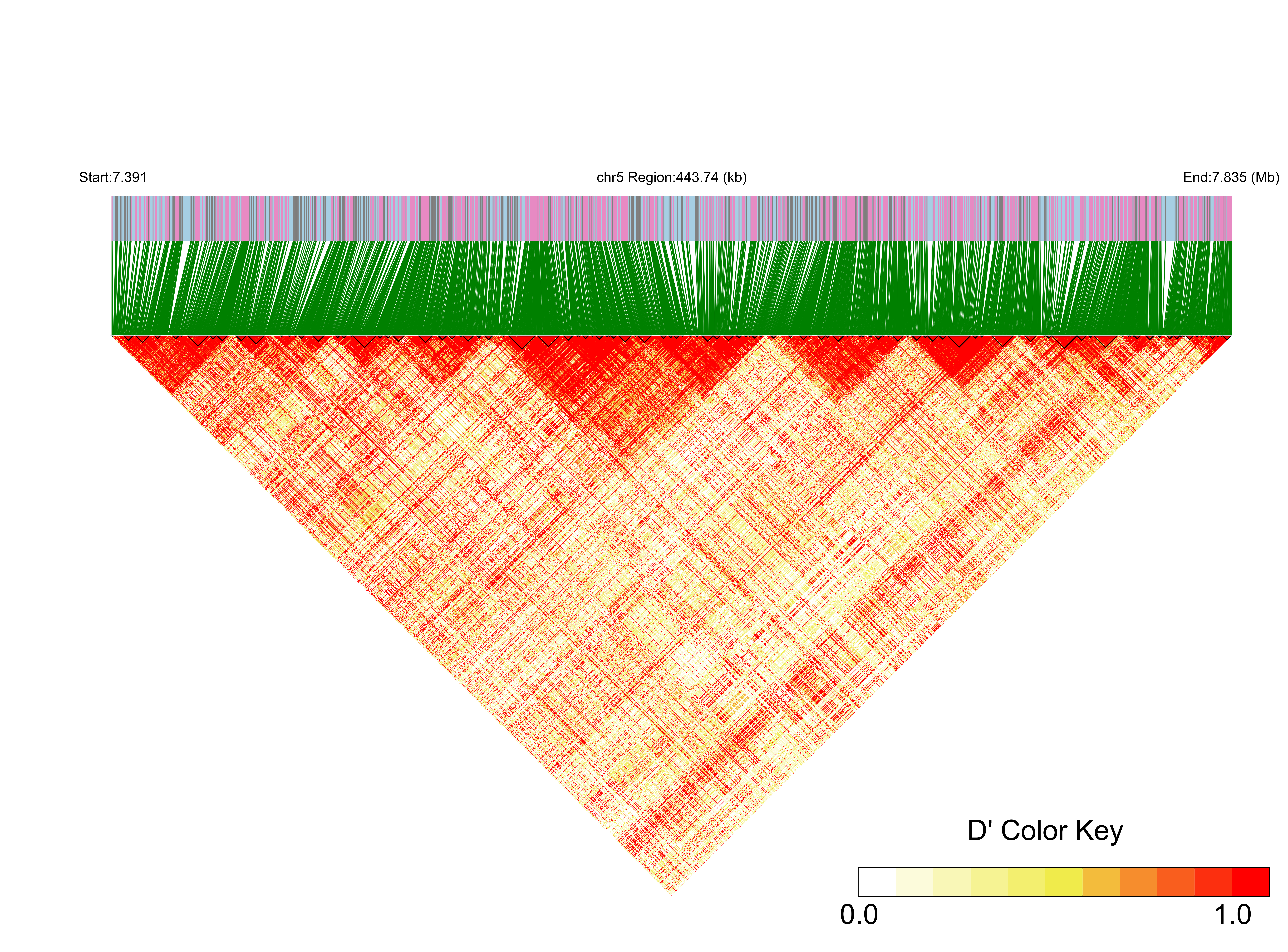 LD