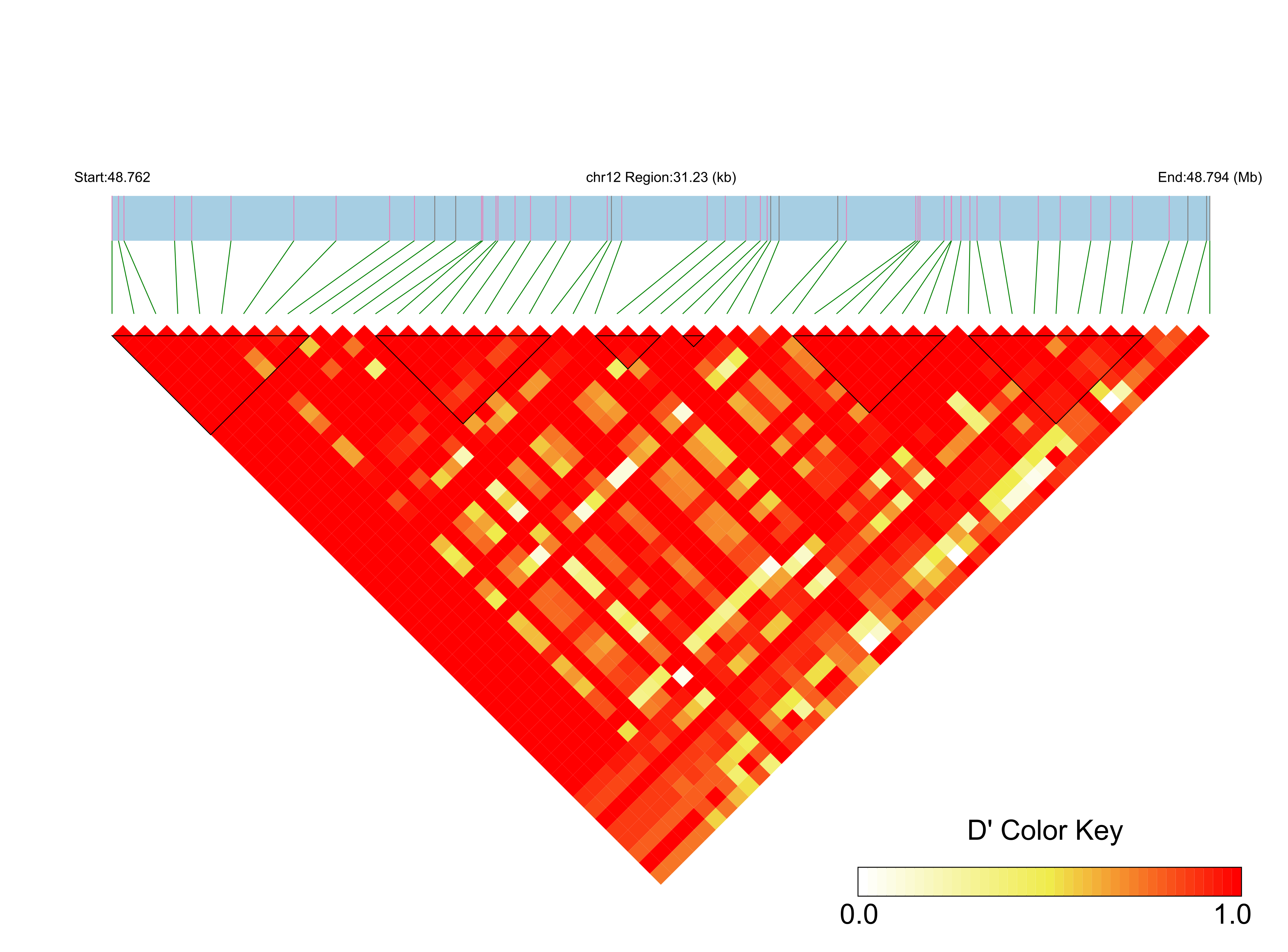 LD