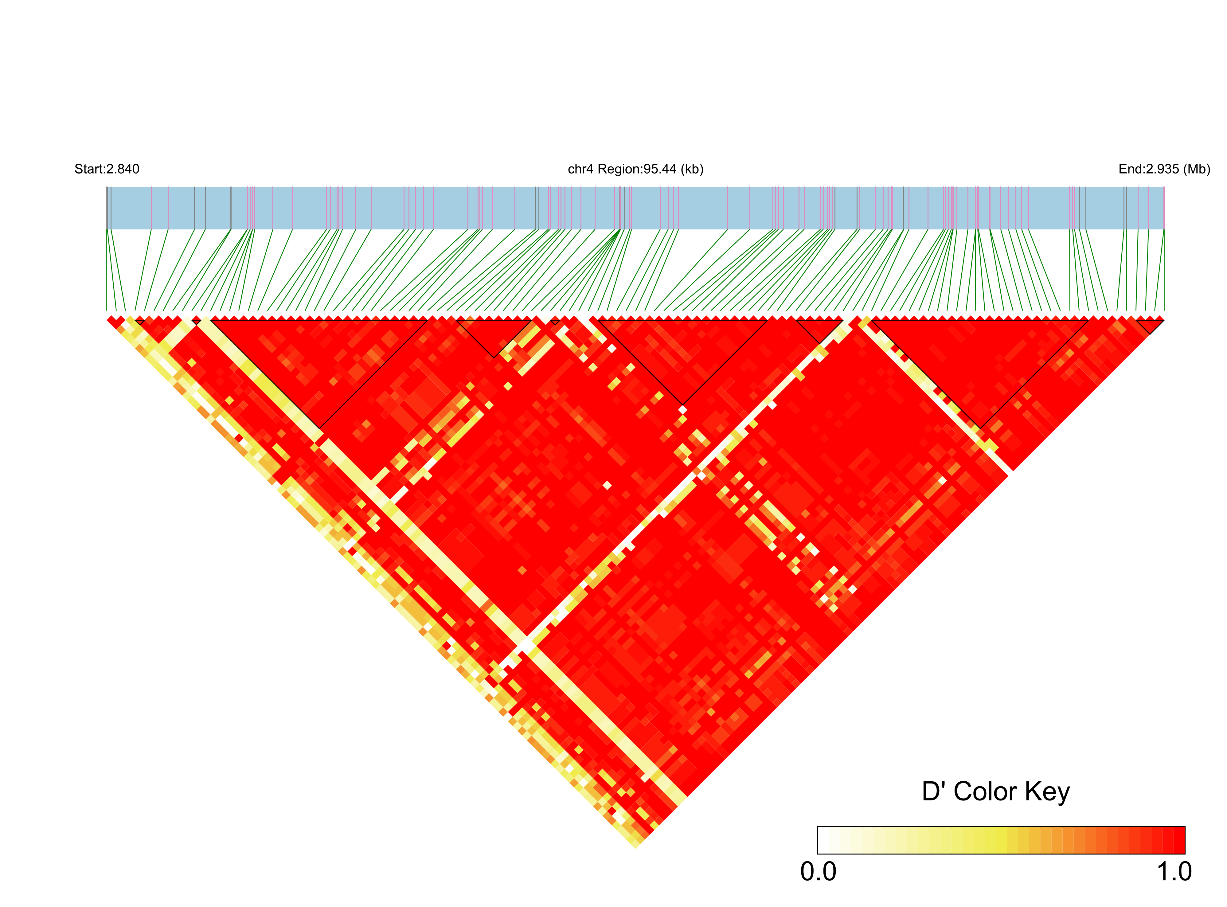 LD