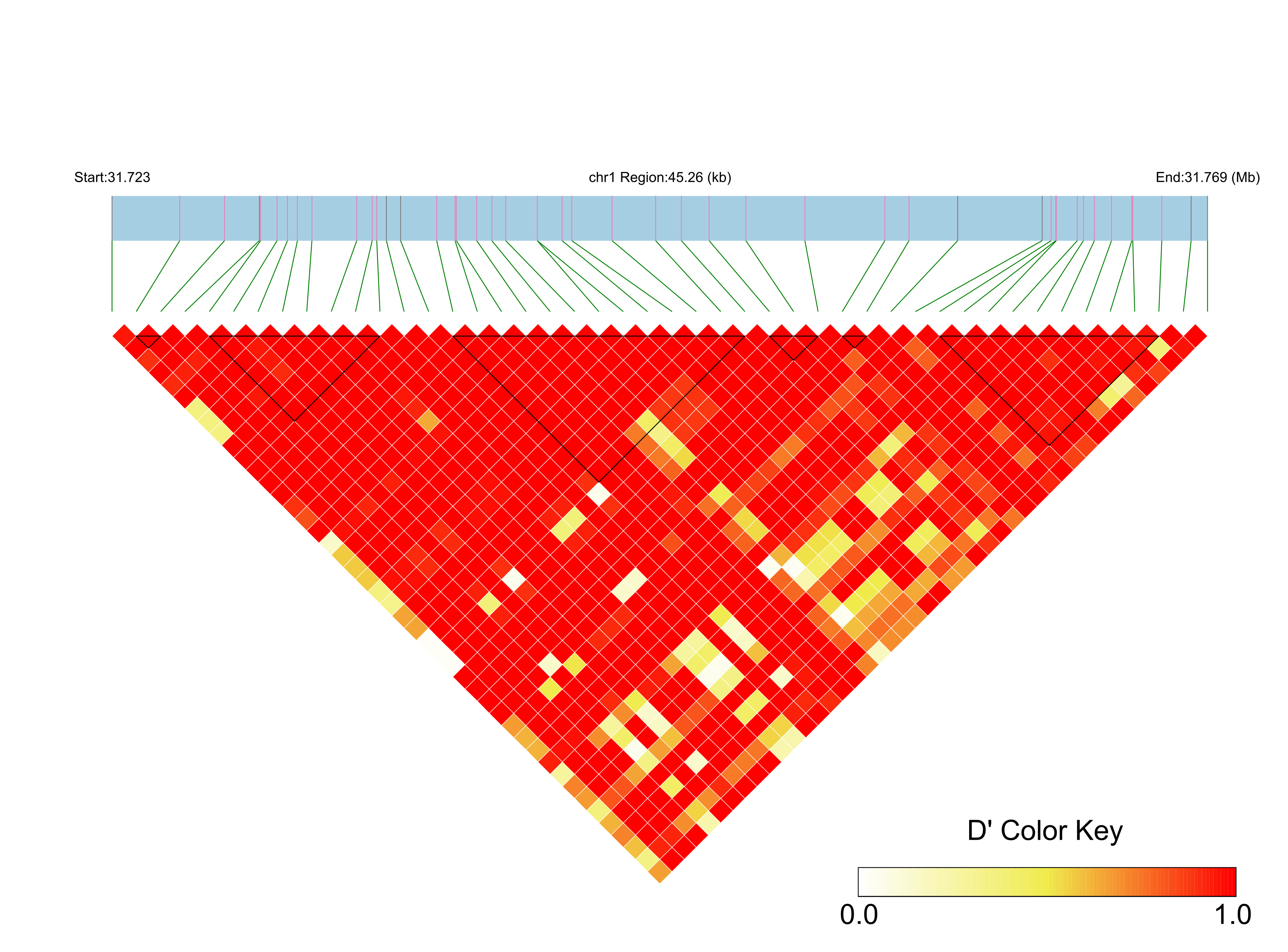 LD