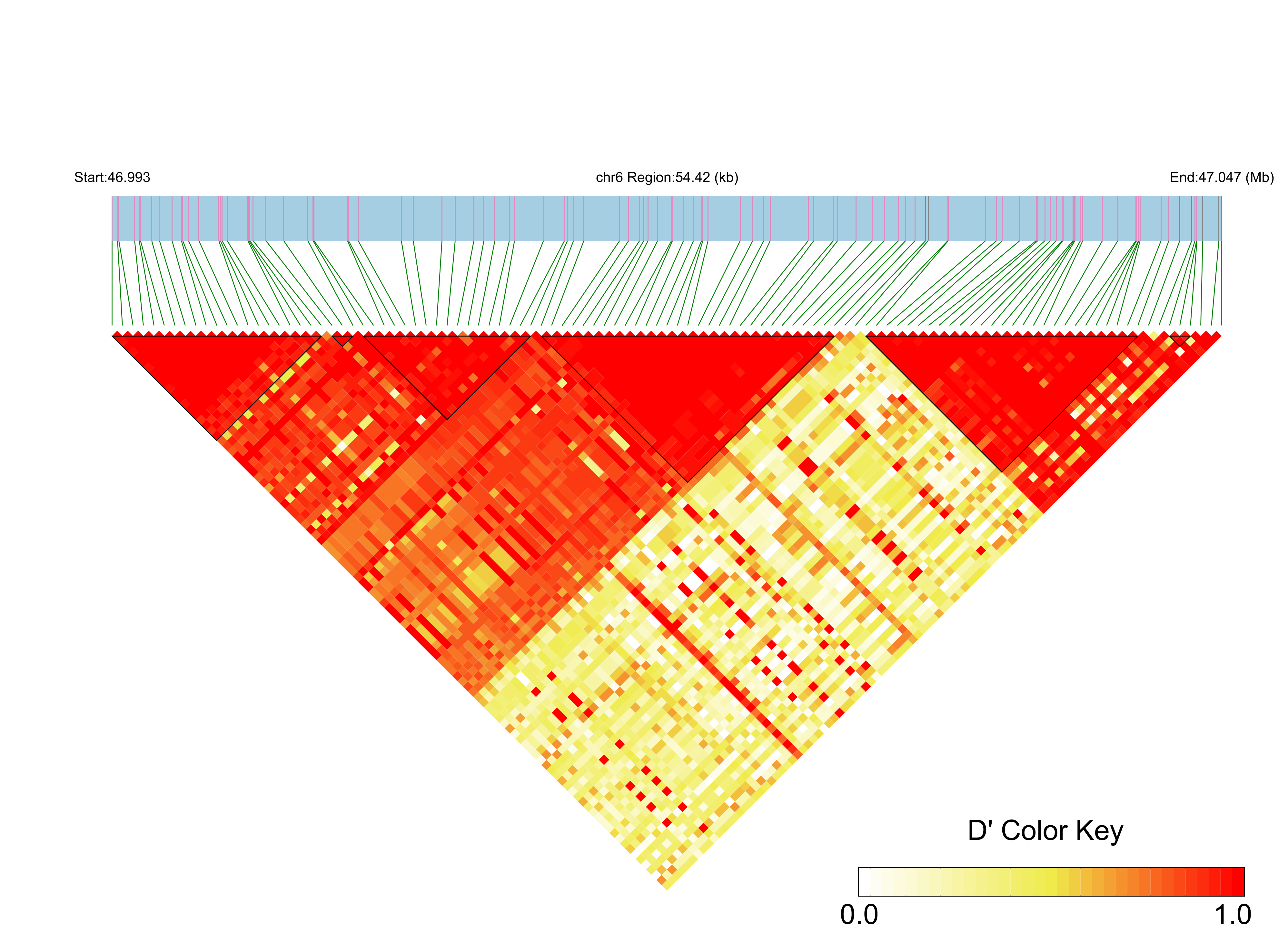 LD