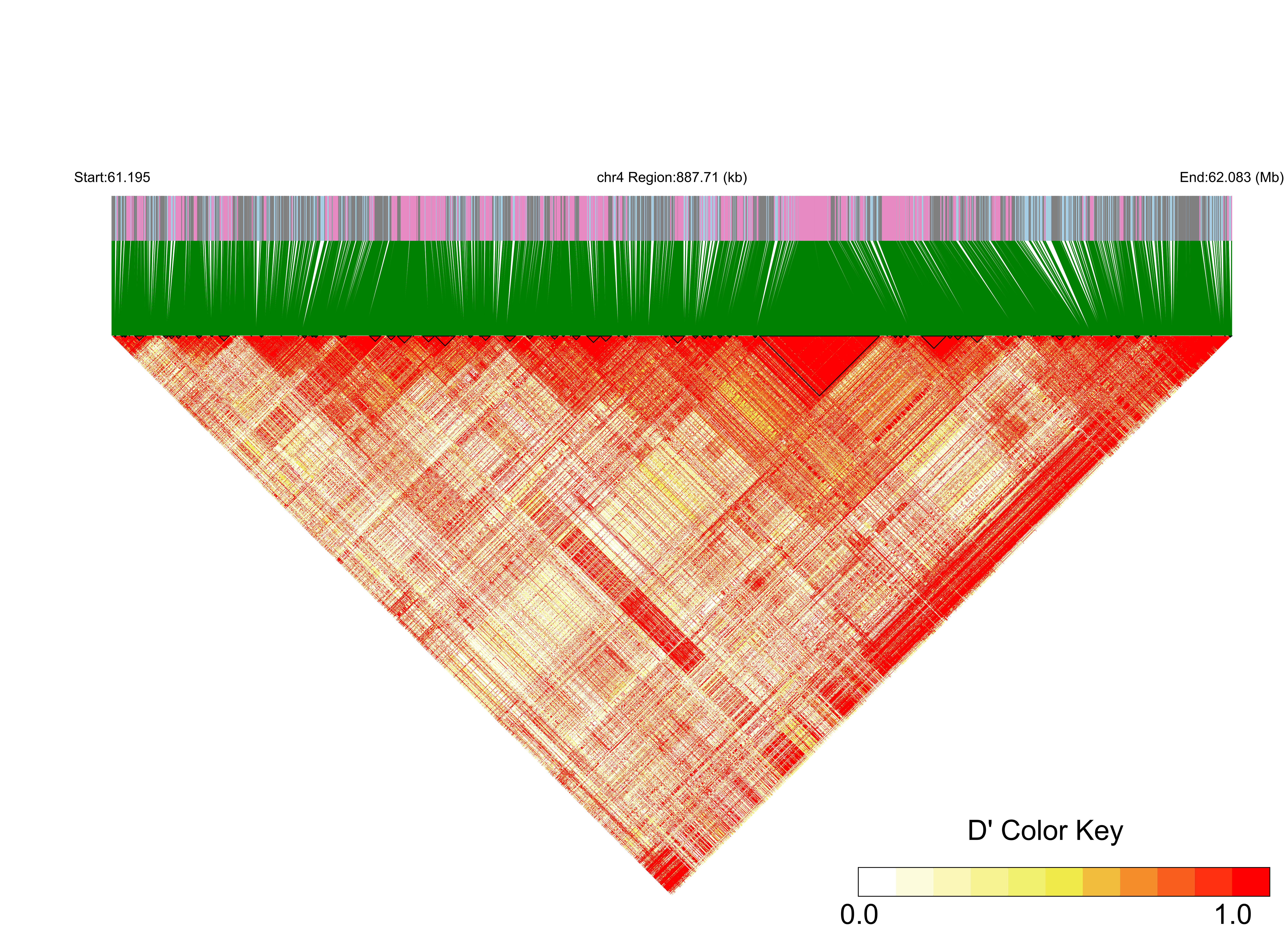 LD