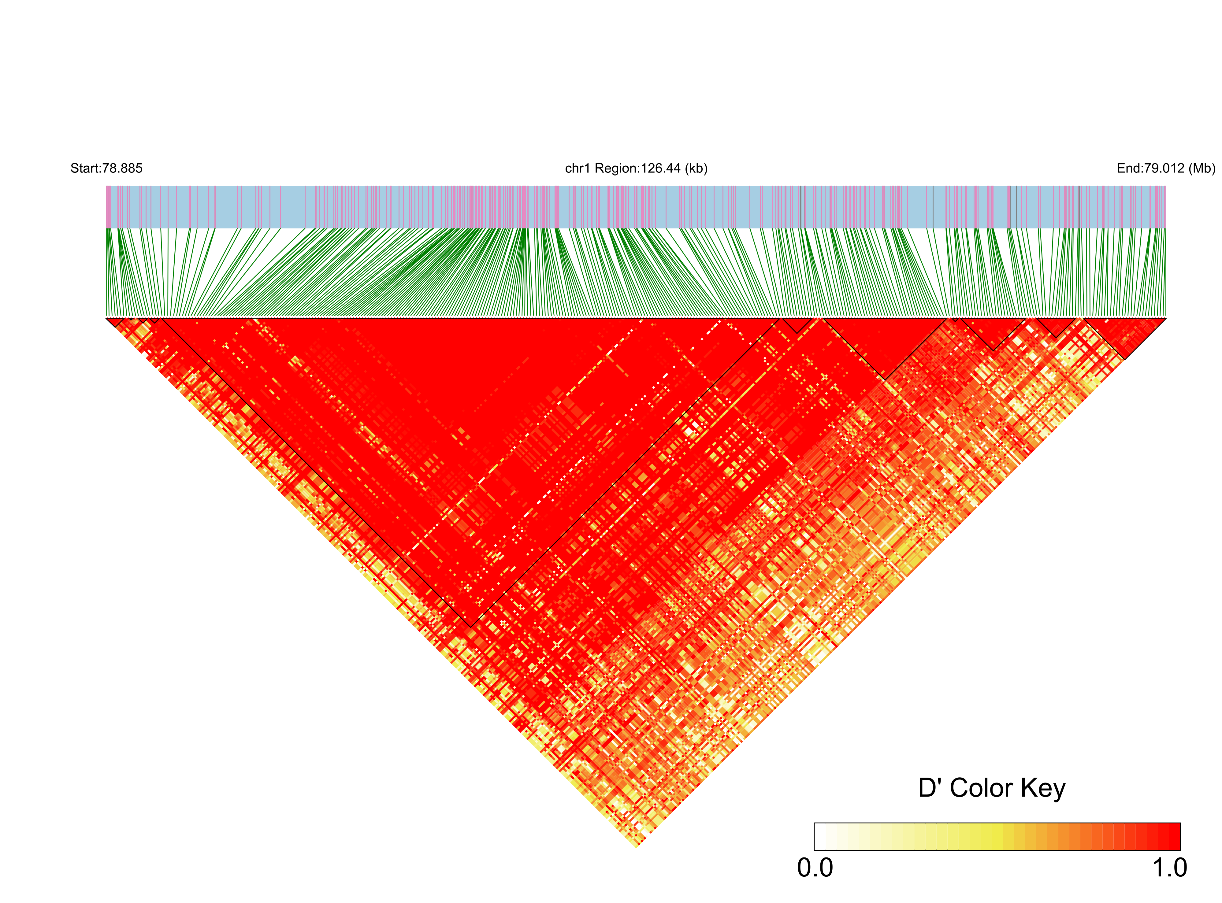 LD
