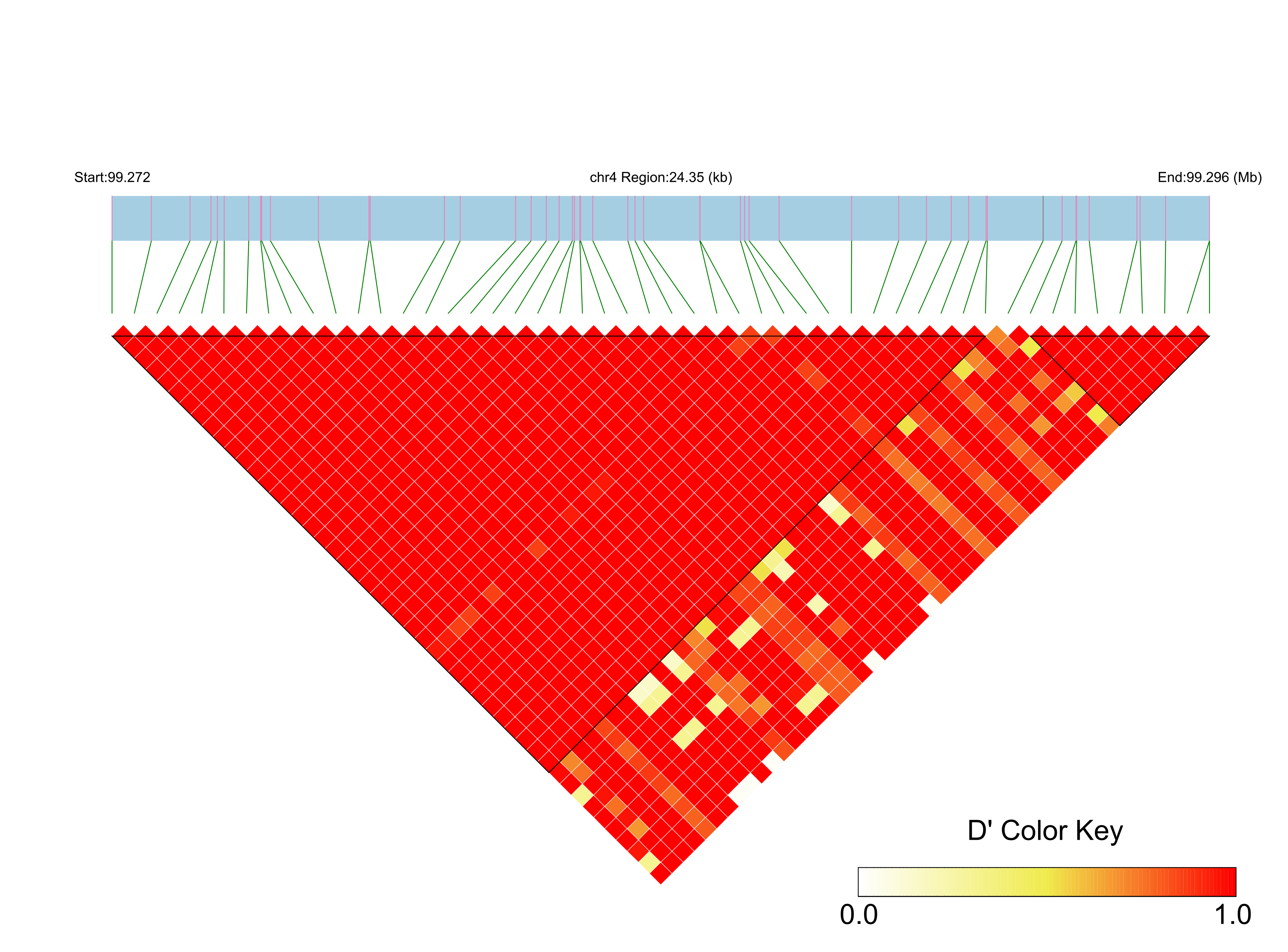 LD