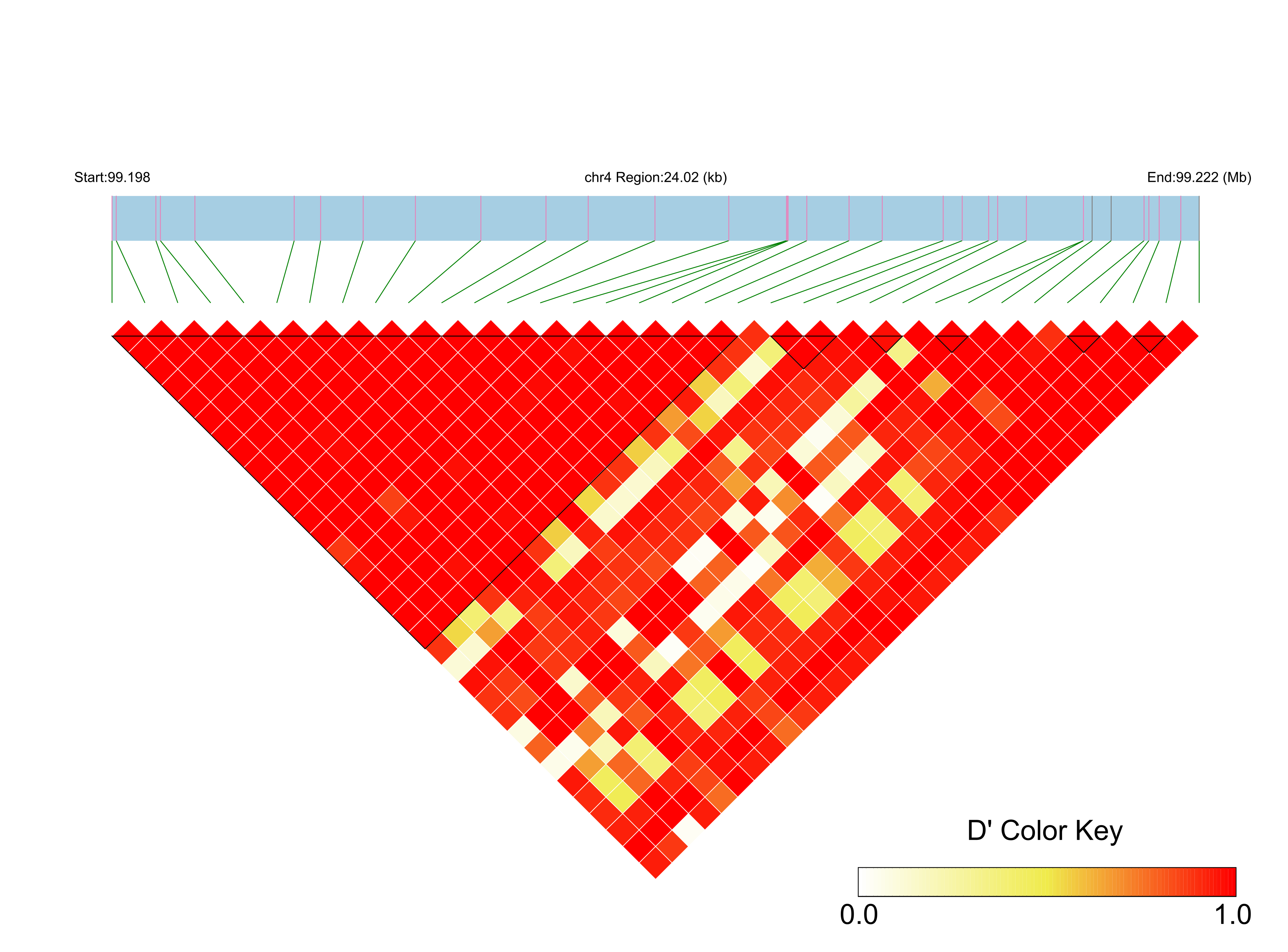 LD
