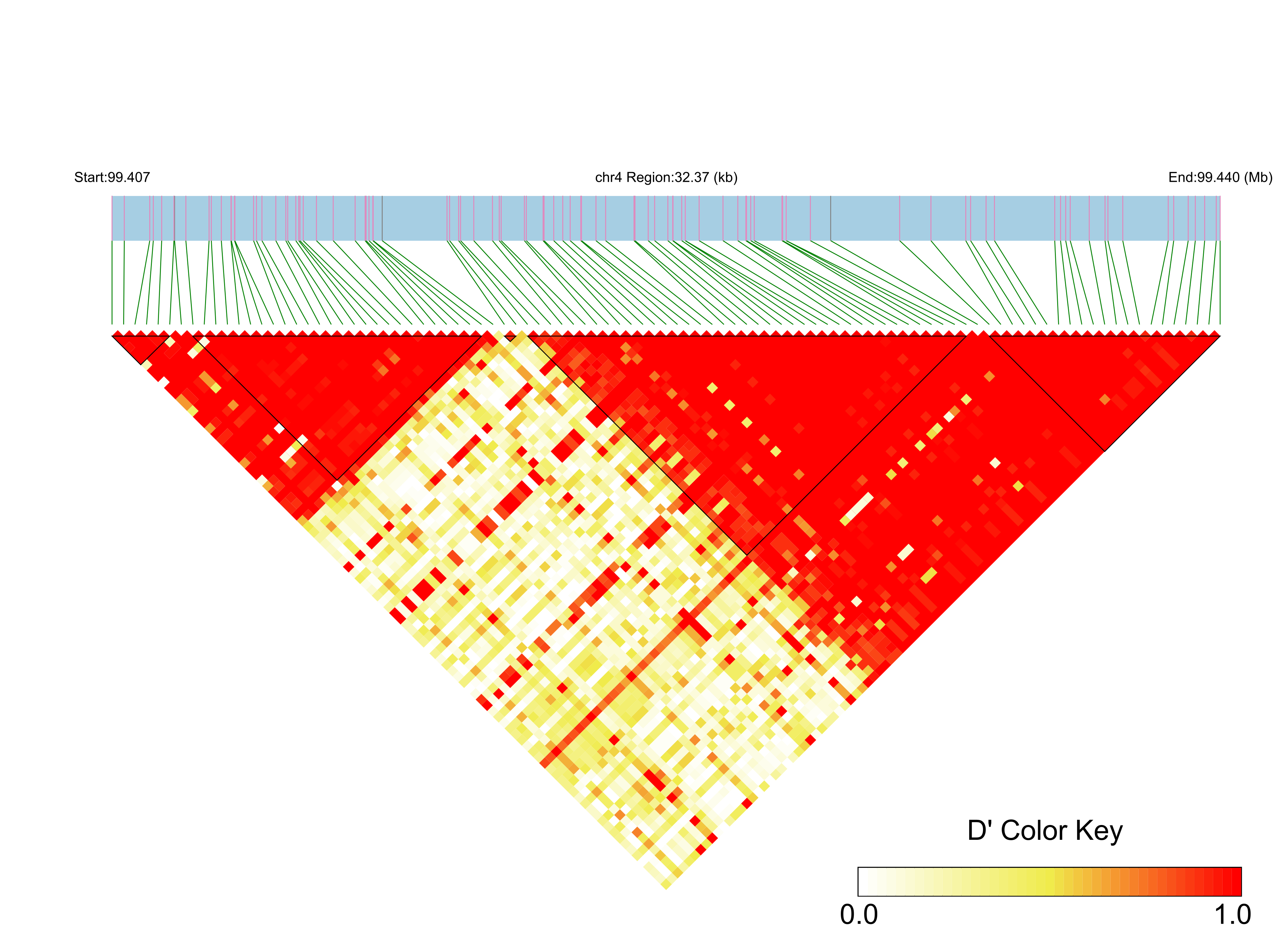 LD