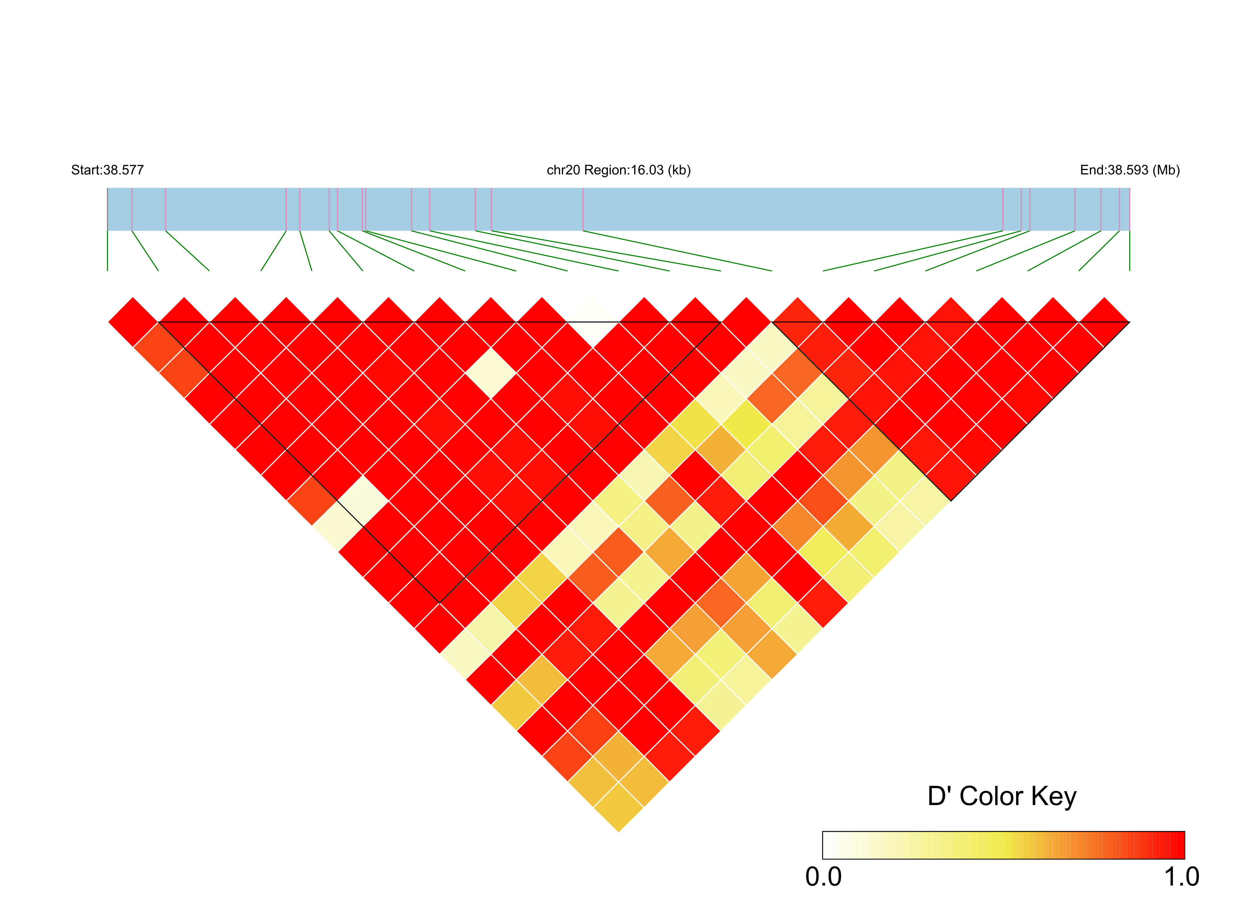 LD