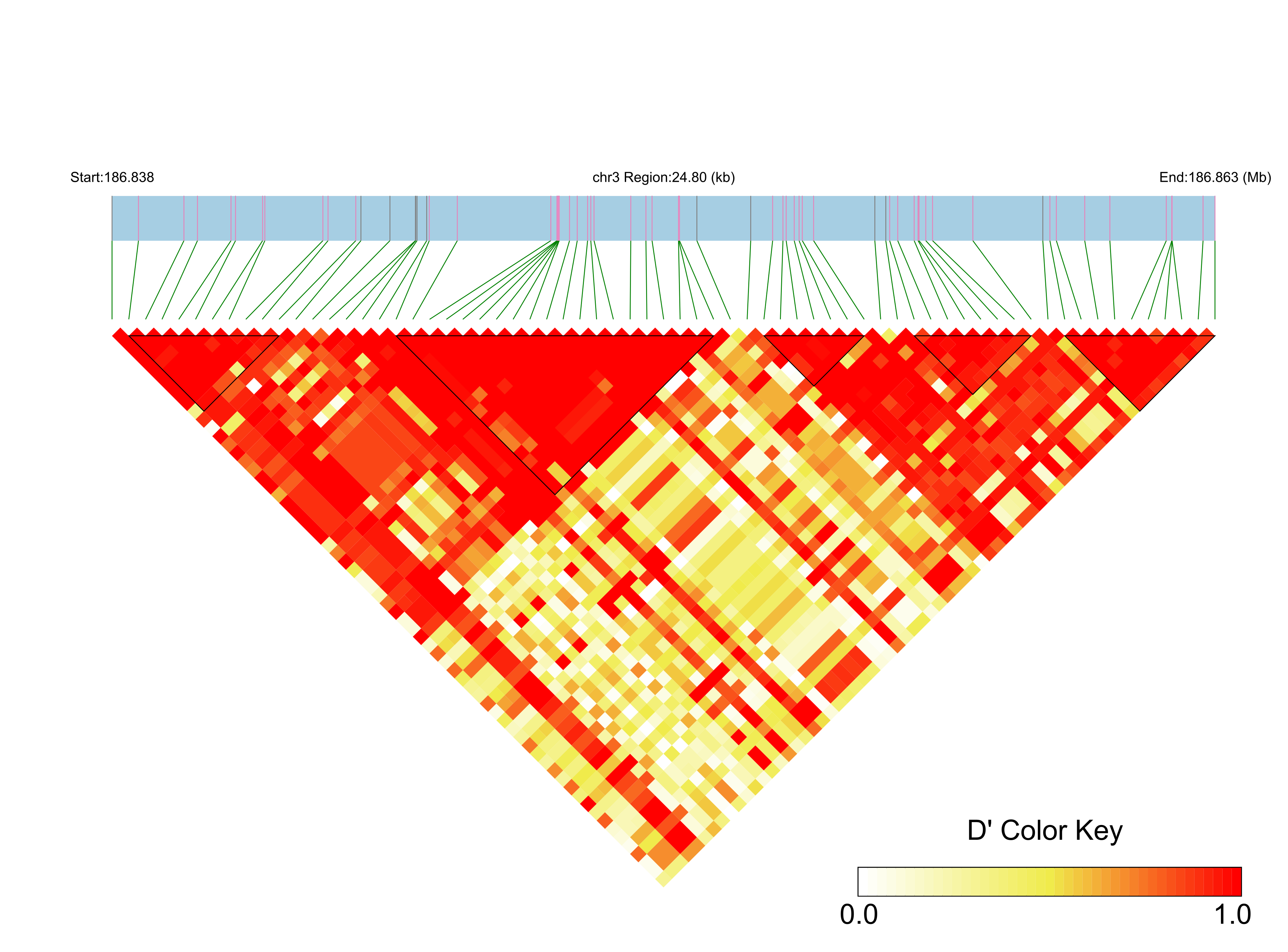 LD