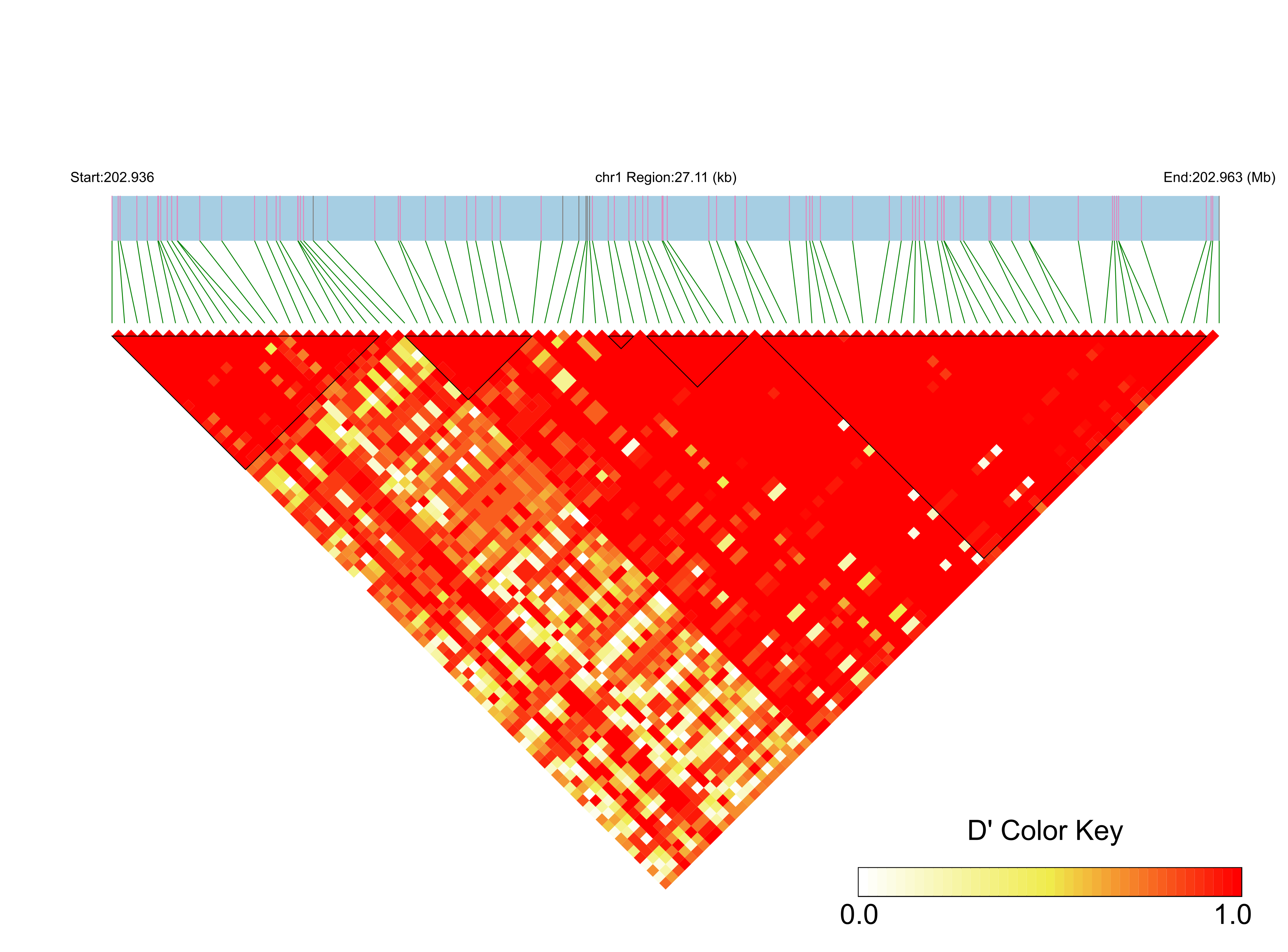 LD