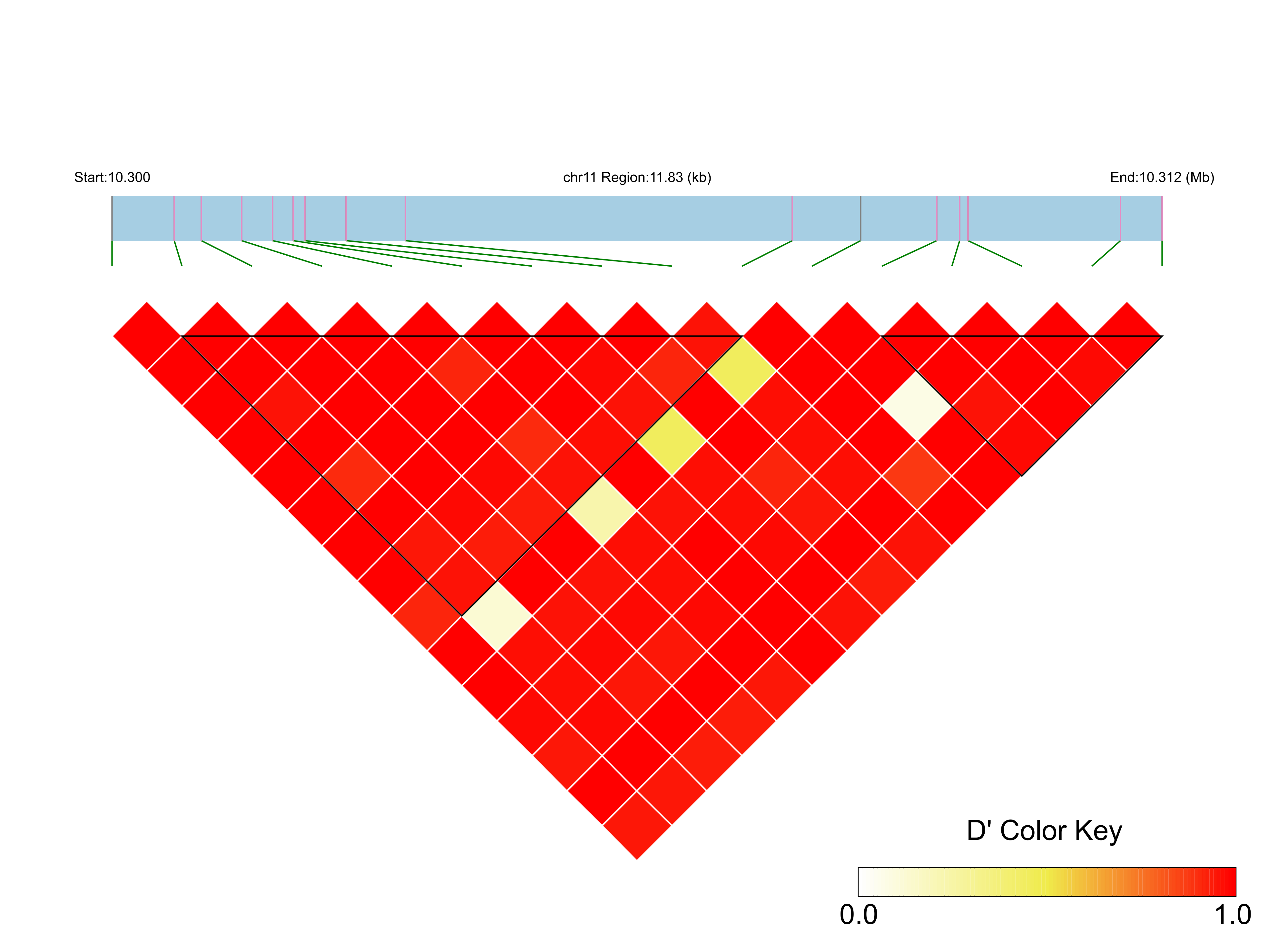 LD