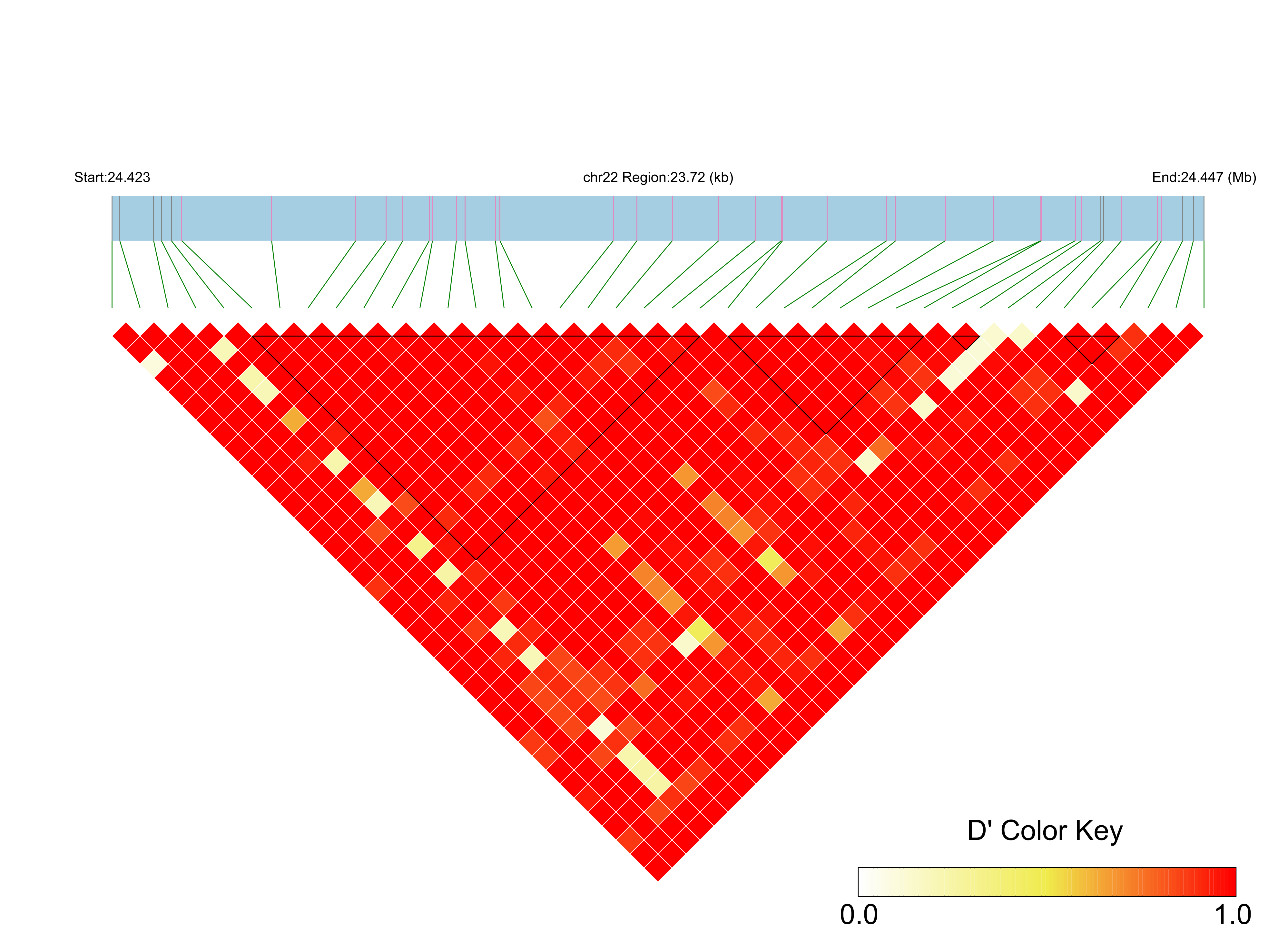LD