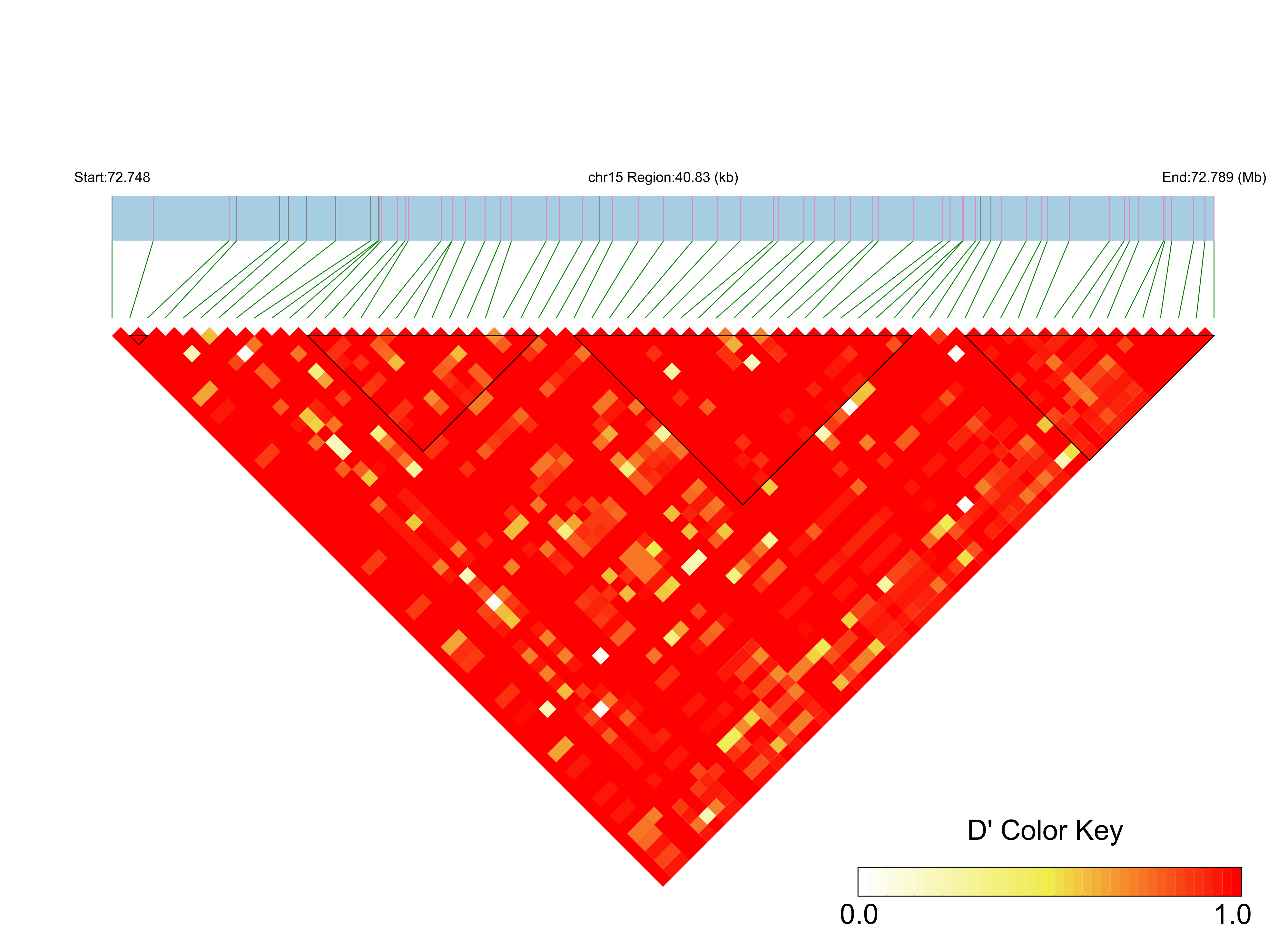 LD