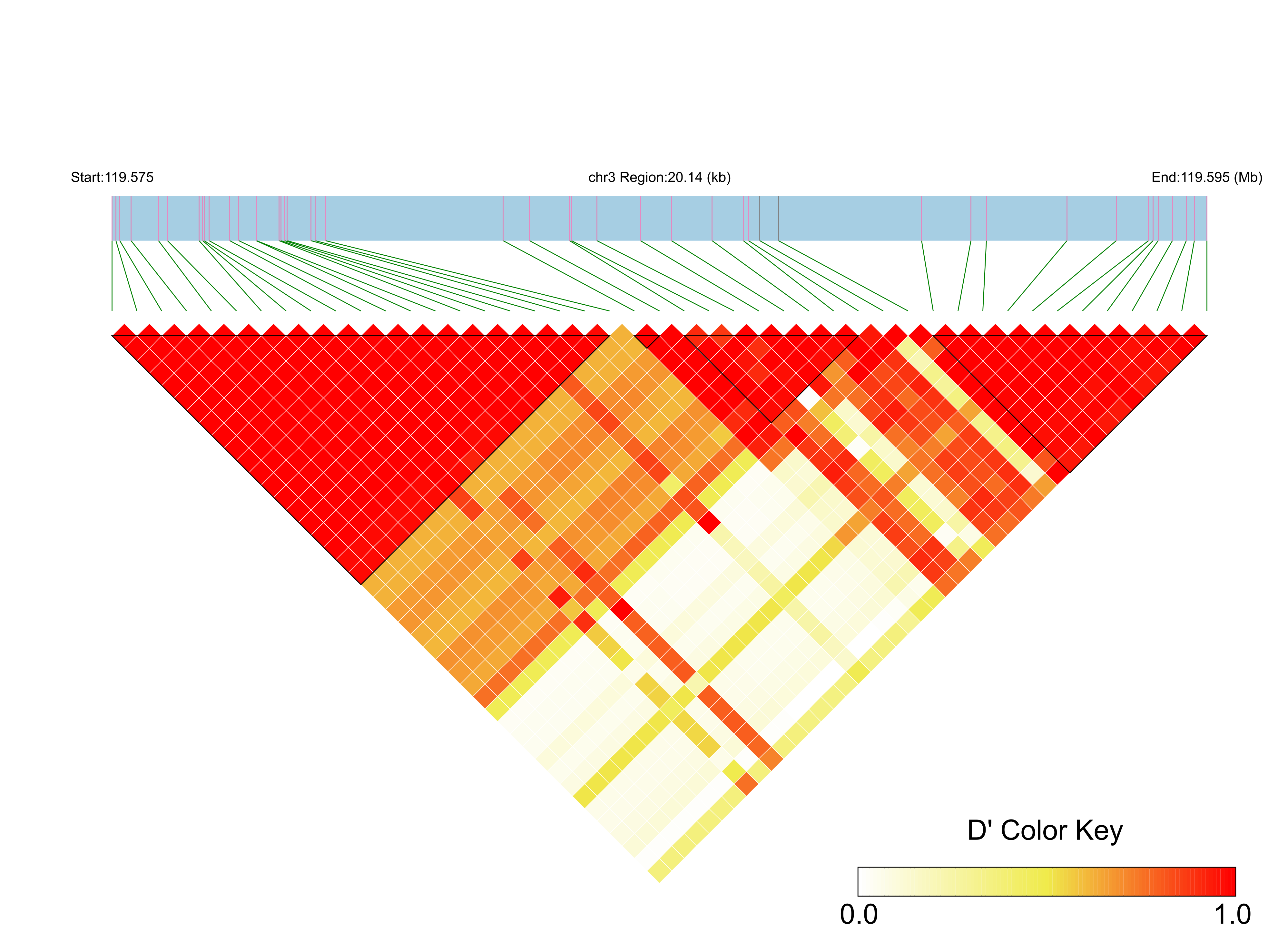 LD