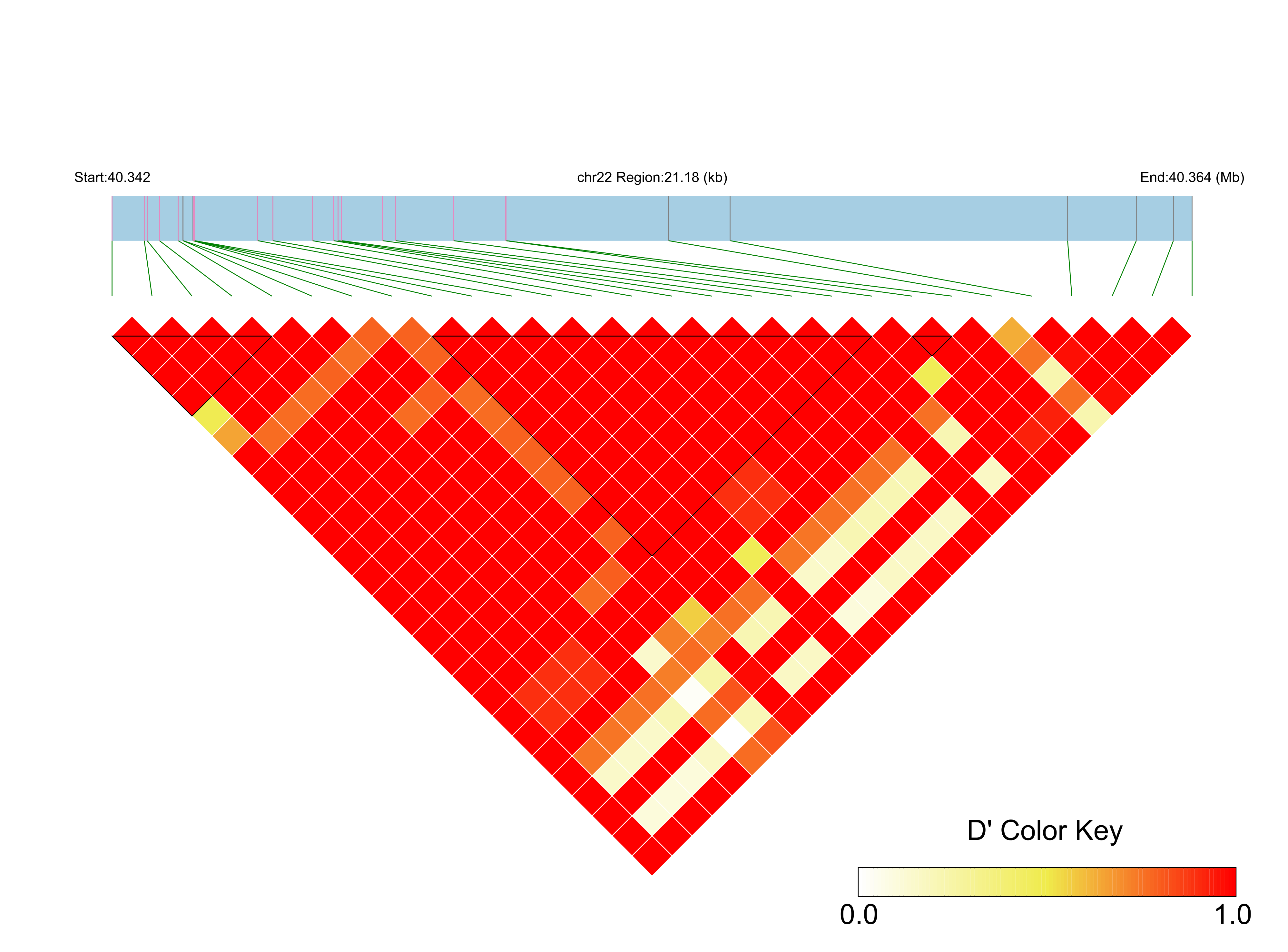 LD