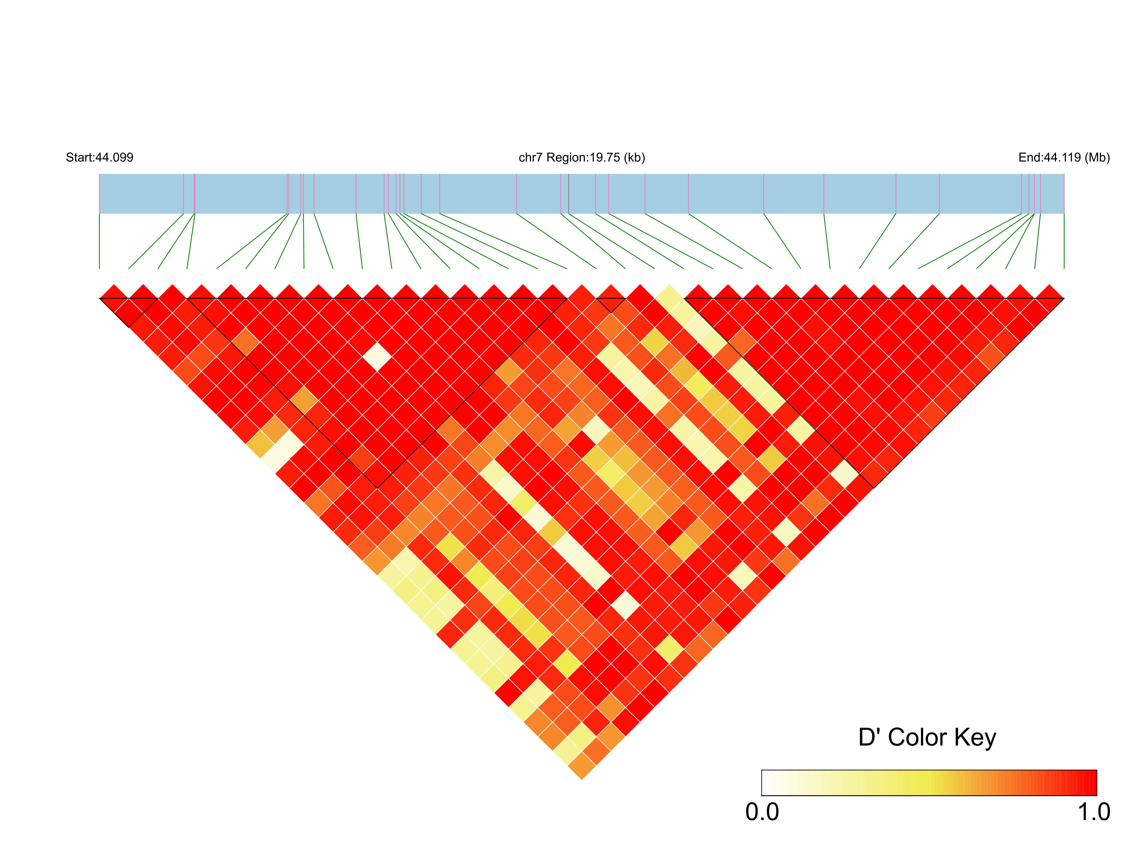 LD