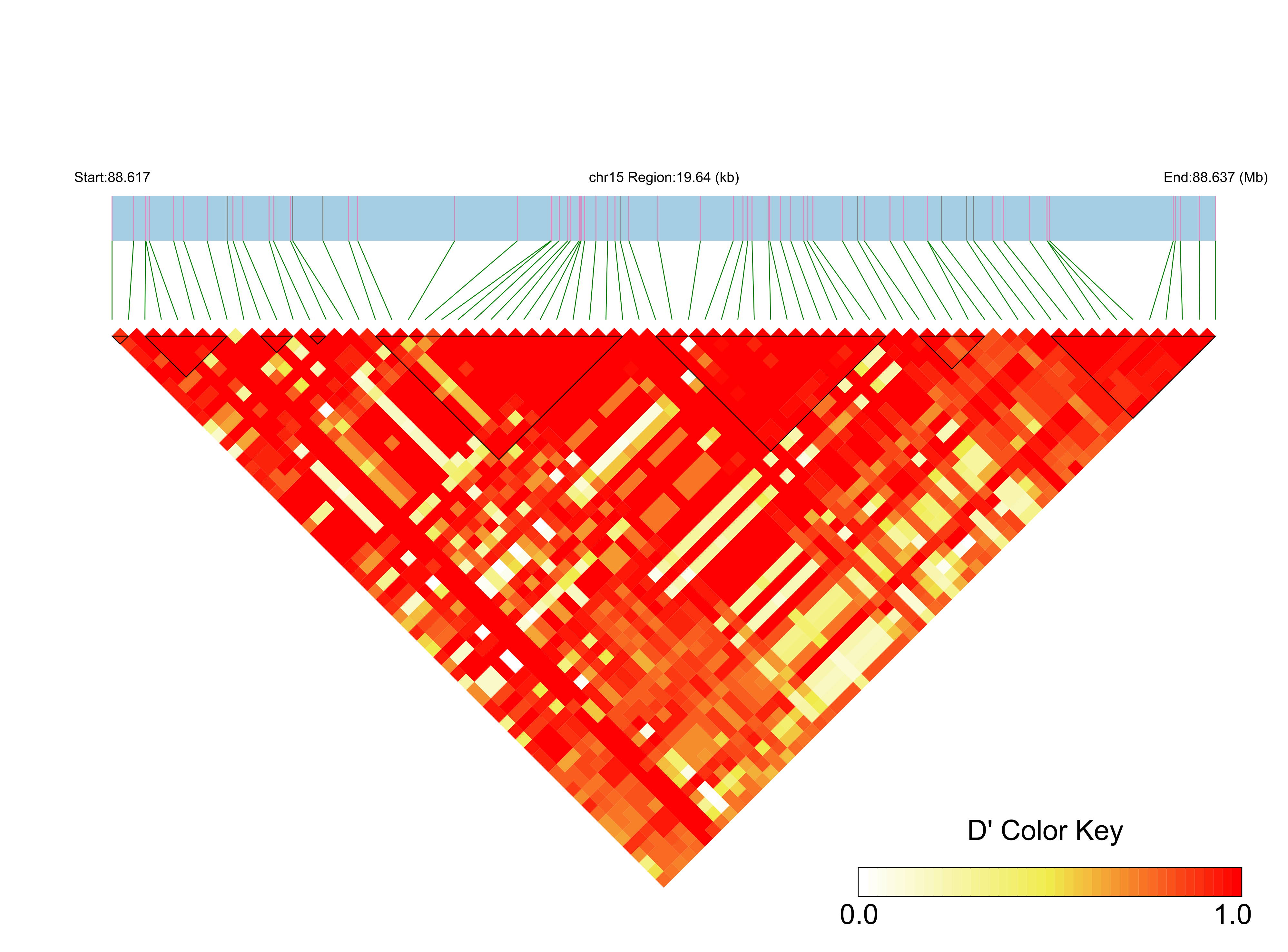 LD