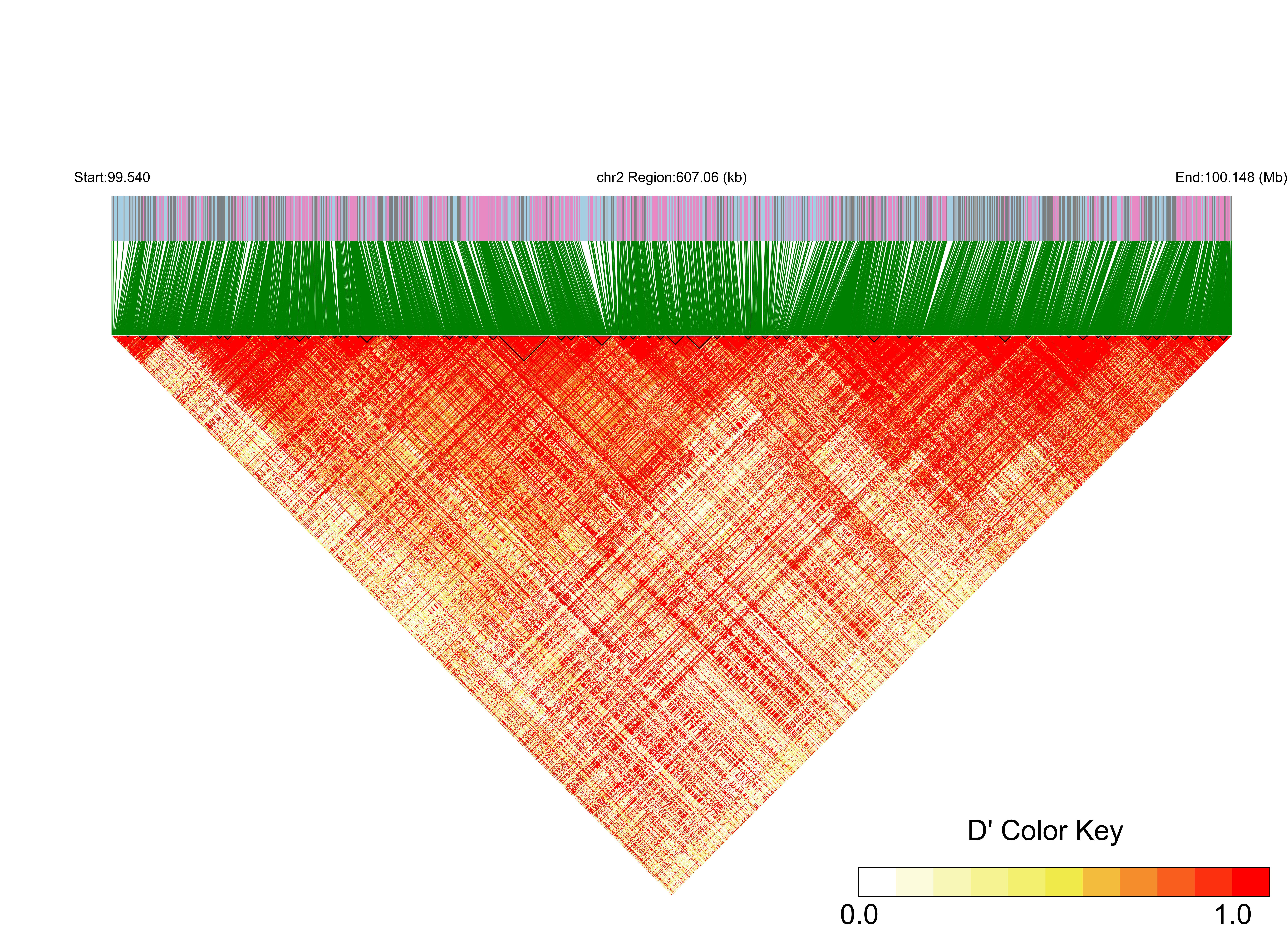 LD