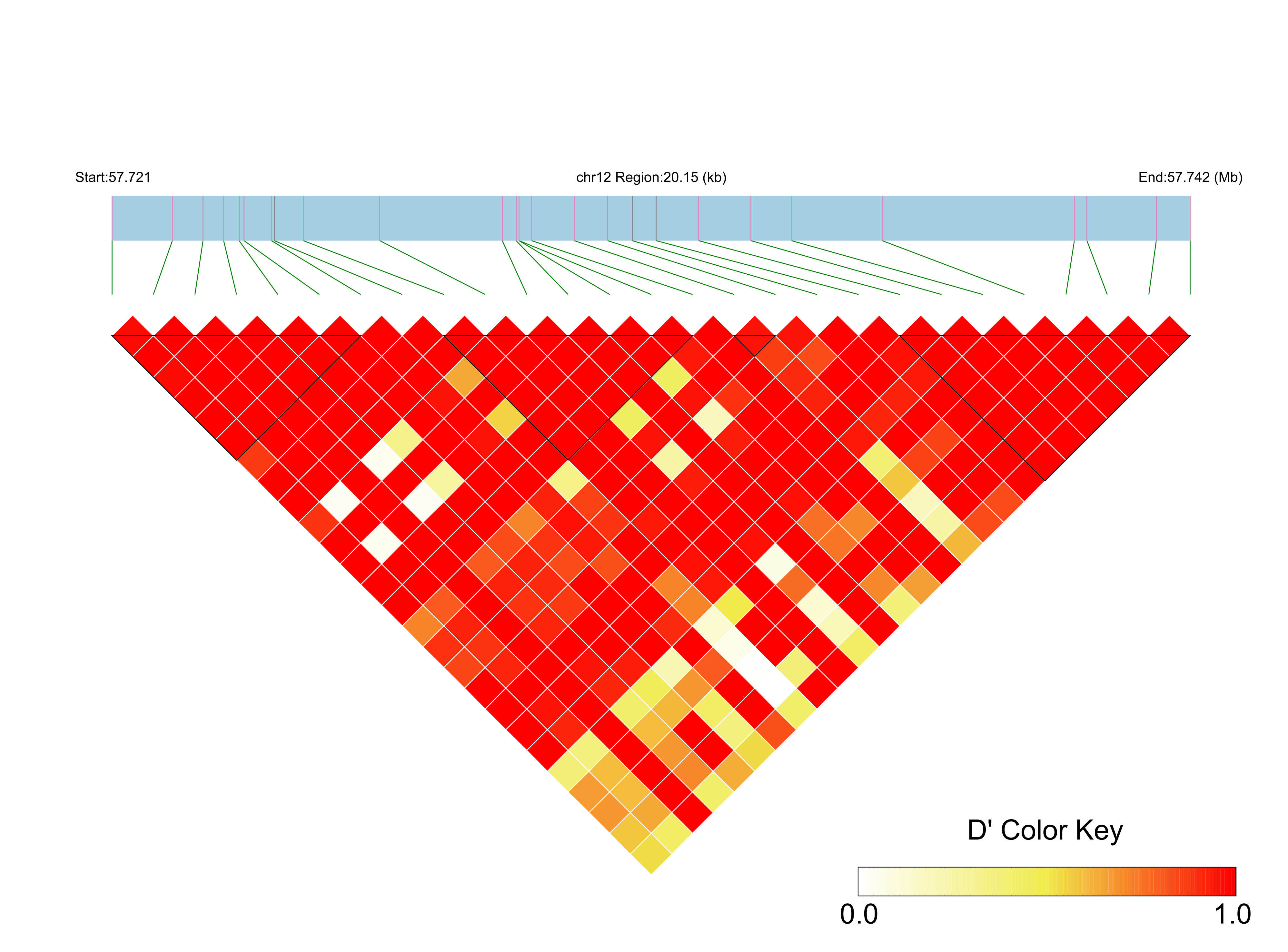 LD